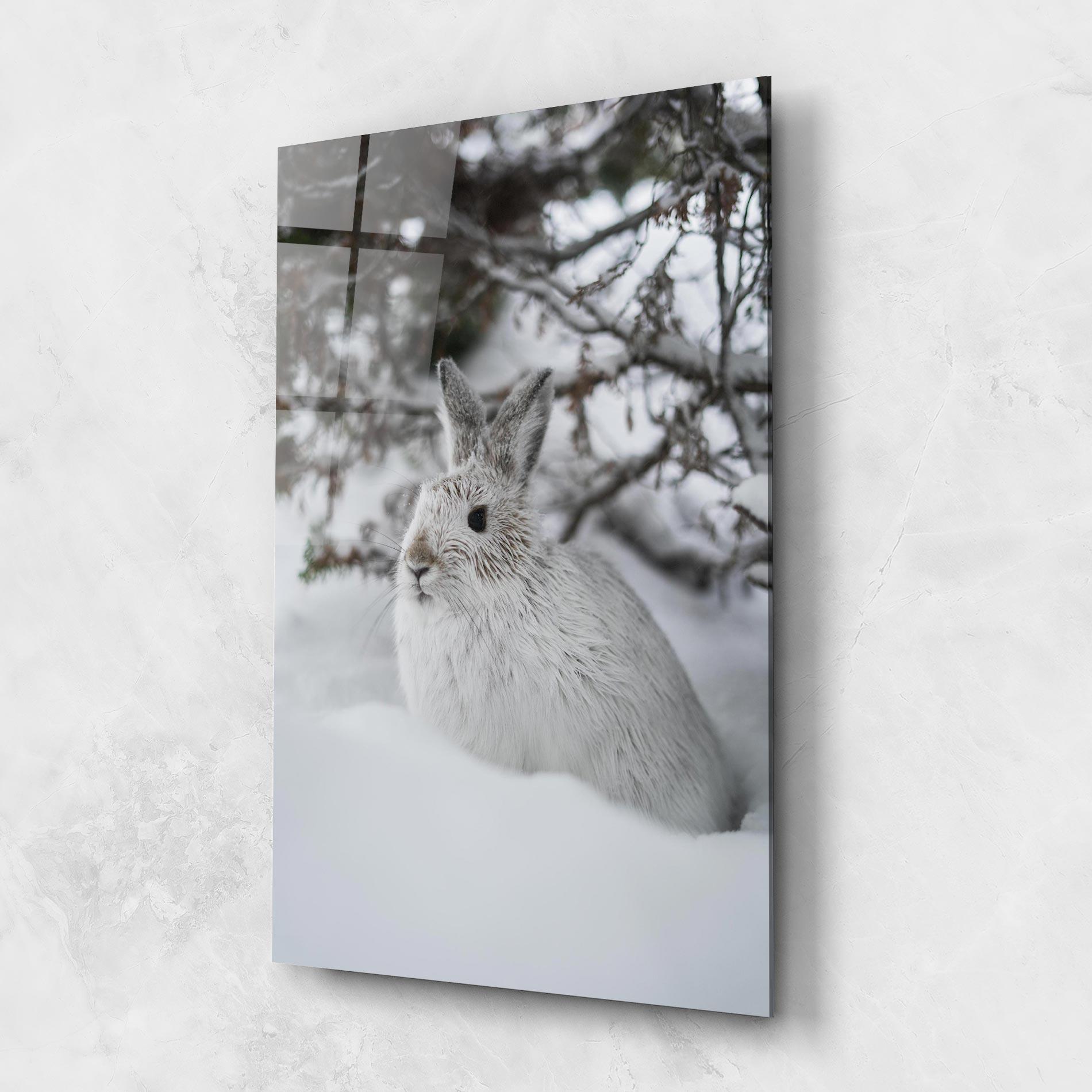 Üvegkép Bunny In Snow mockup 1