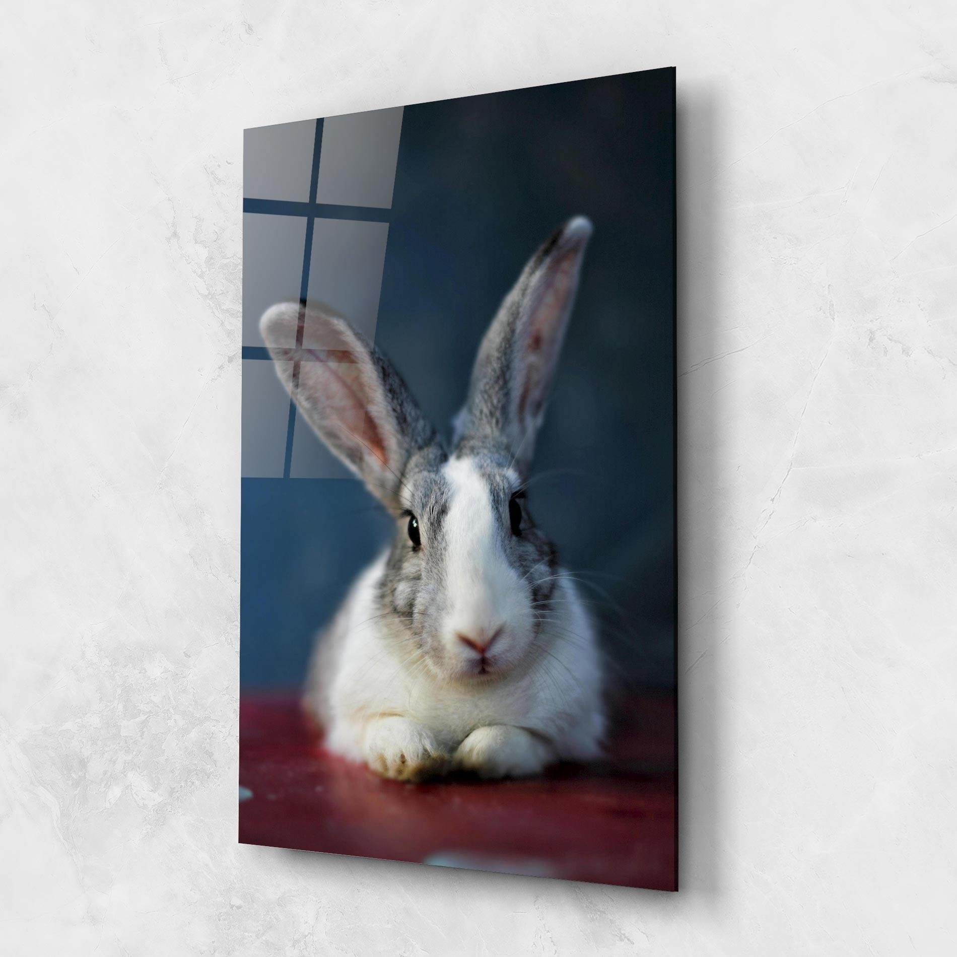 Üvegkép Cute Grey Bunny mockup 1