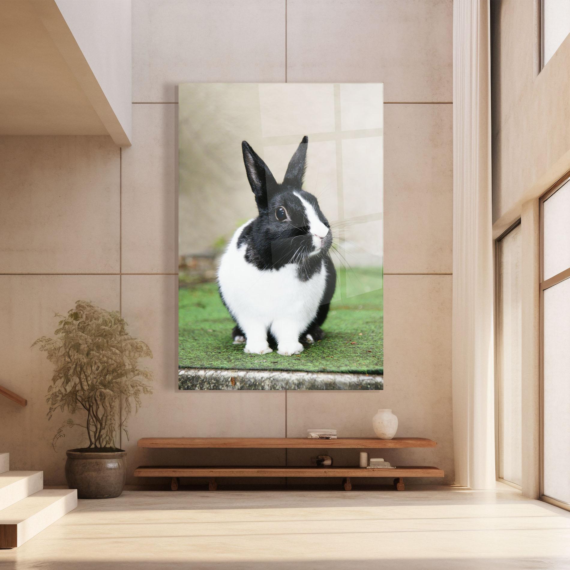 Üvegkép Black Ear Rabbit mockup 8