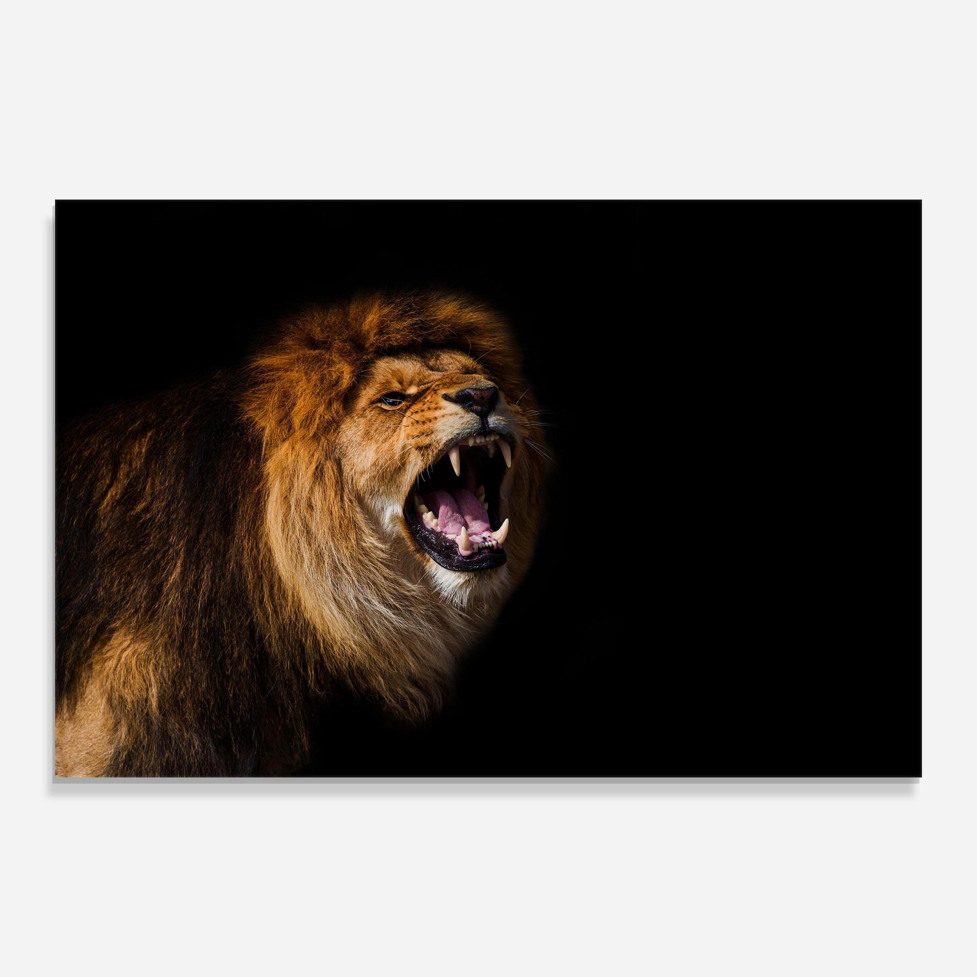 Üvegkép Beautiful Lion Portrait mockup 0
