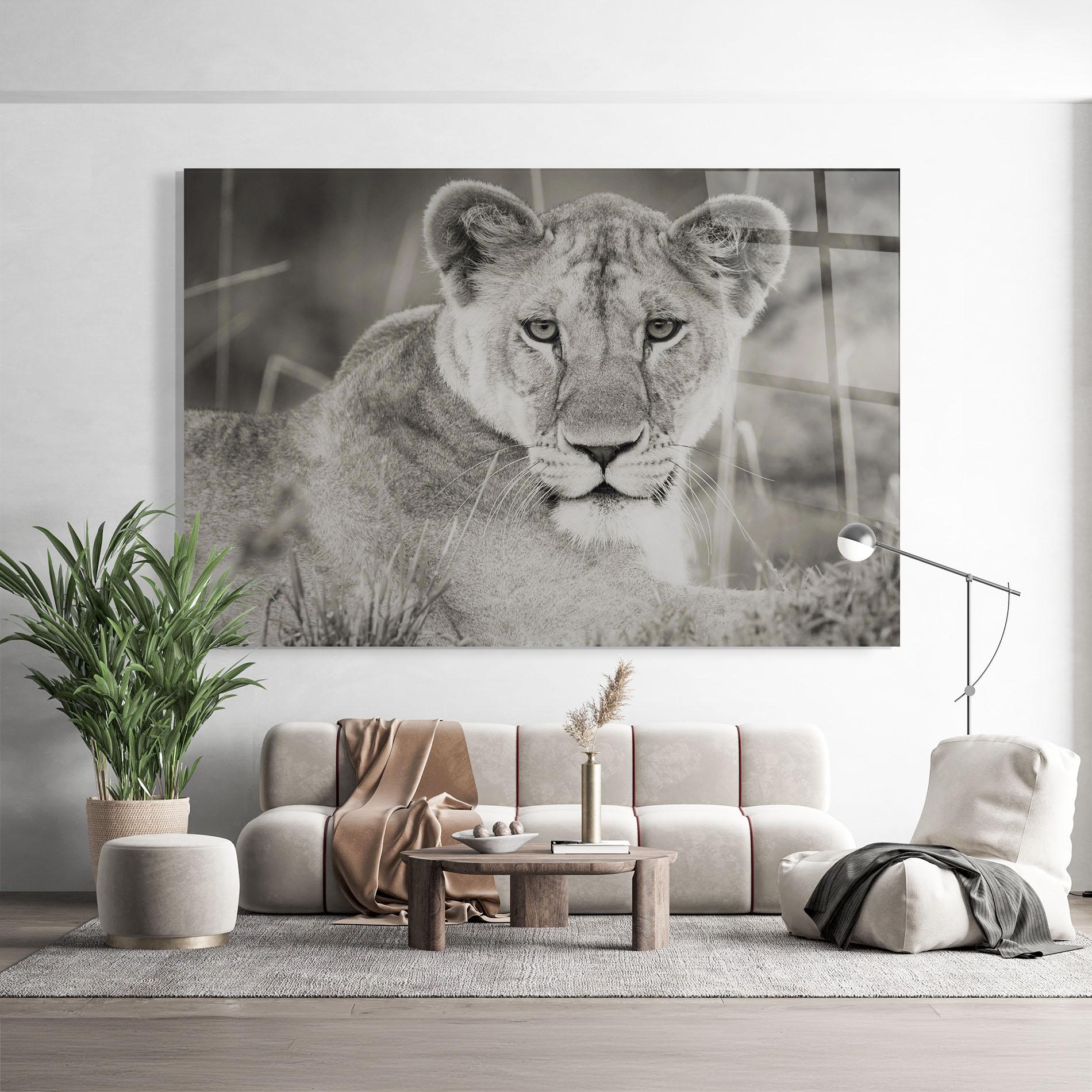 Üvegkép Grey Female Lion Looking mockup 9