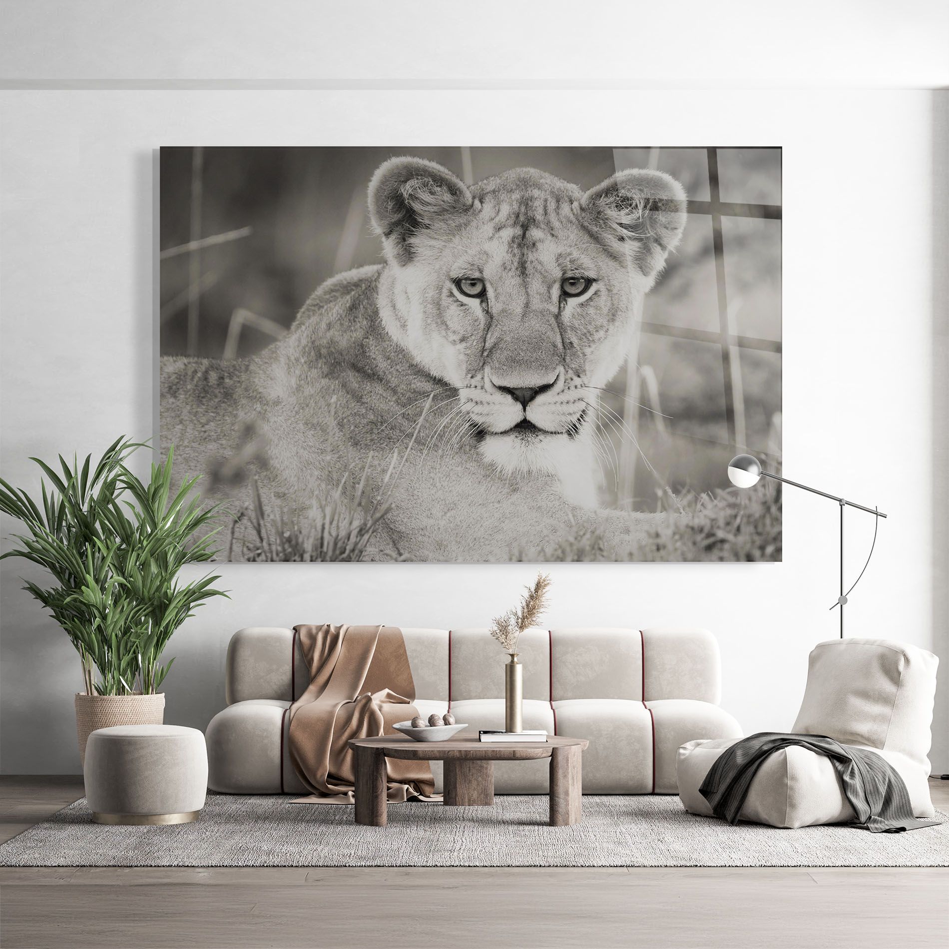 Grey Female Lion Looking mockup 9