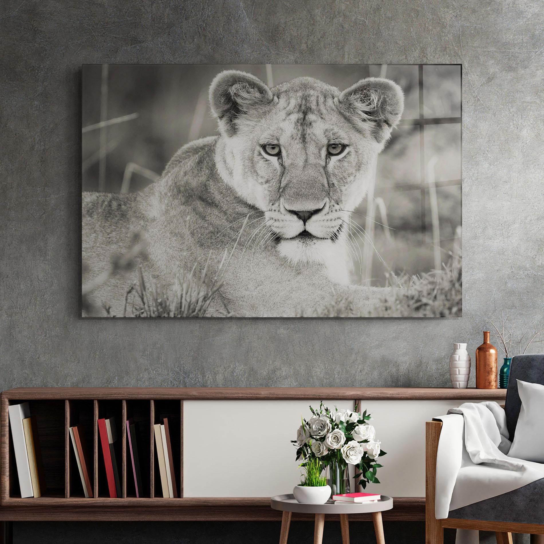 Üvegkép Grey Female Lion Looking mockup 2