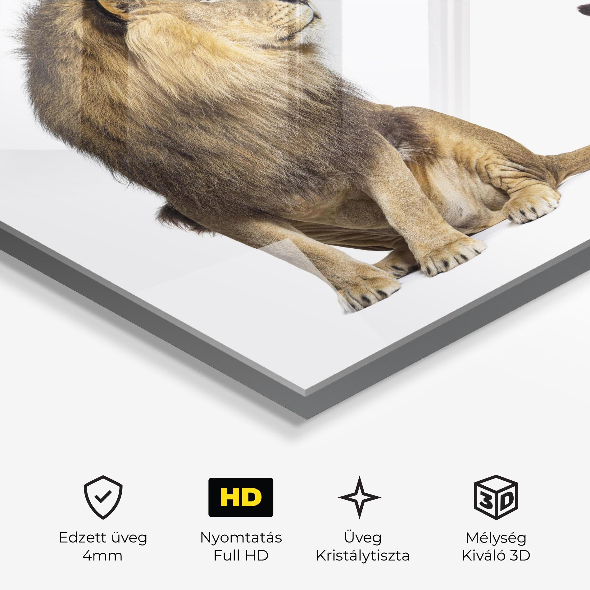 Üvegkép Big Lion mockup 3