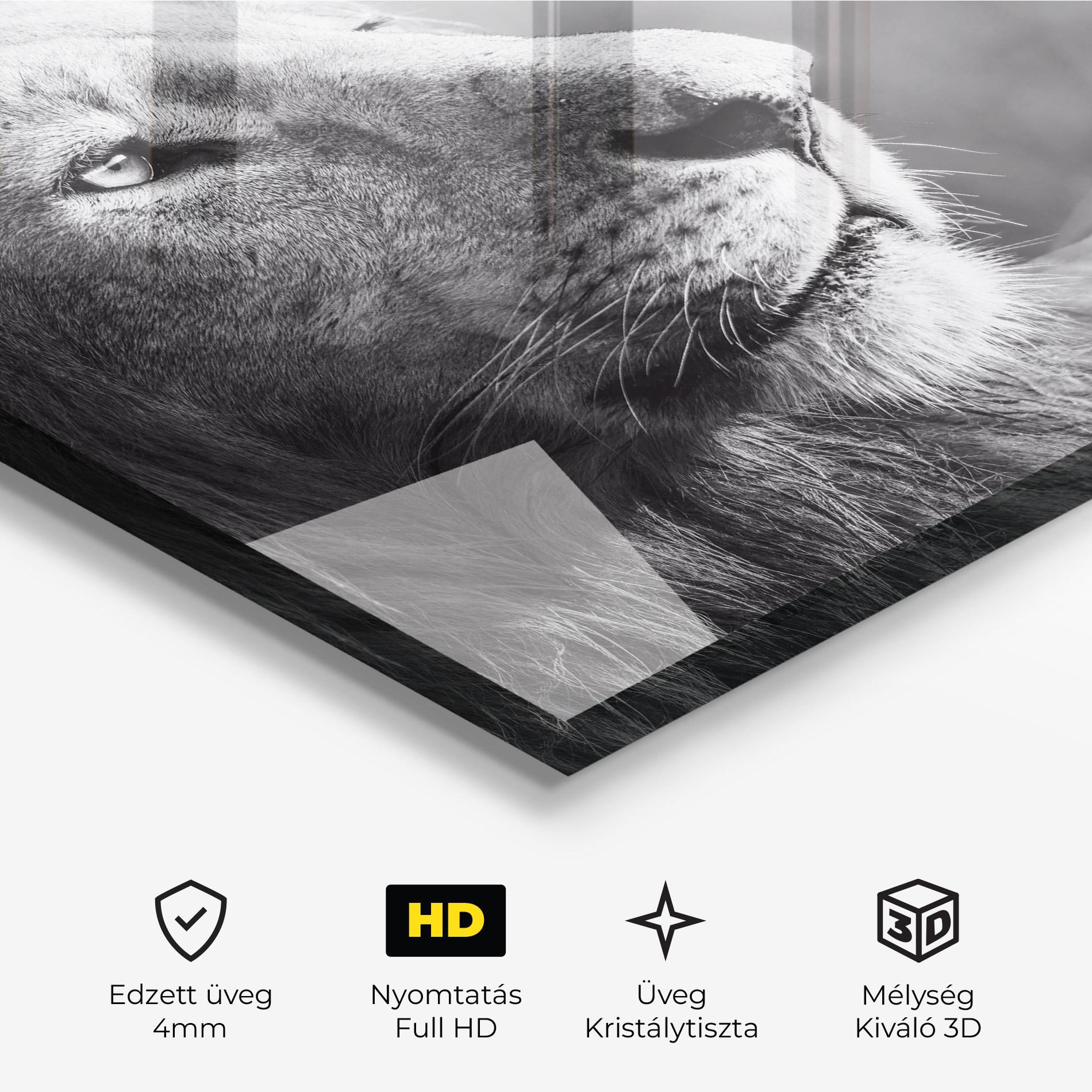 Üvegkép Grey Lion Head mockup 3