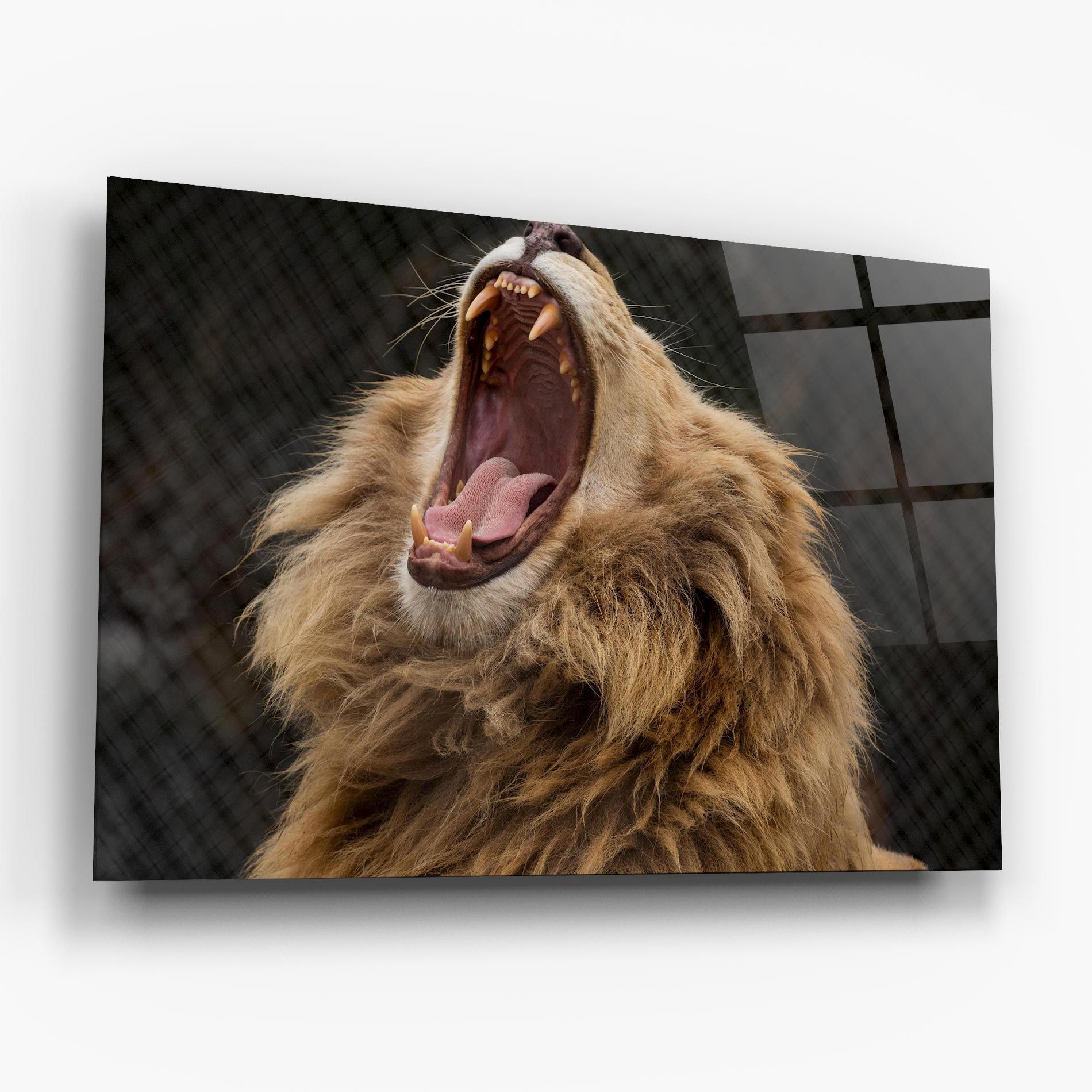 Angry Lion mockup 6