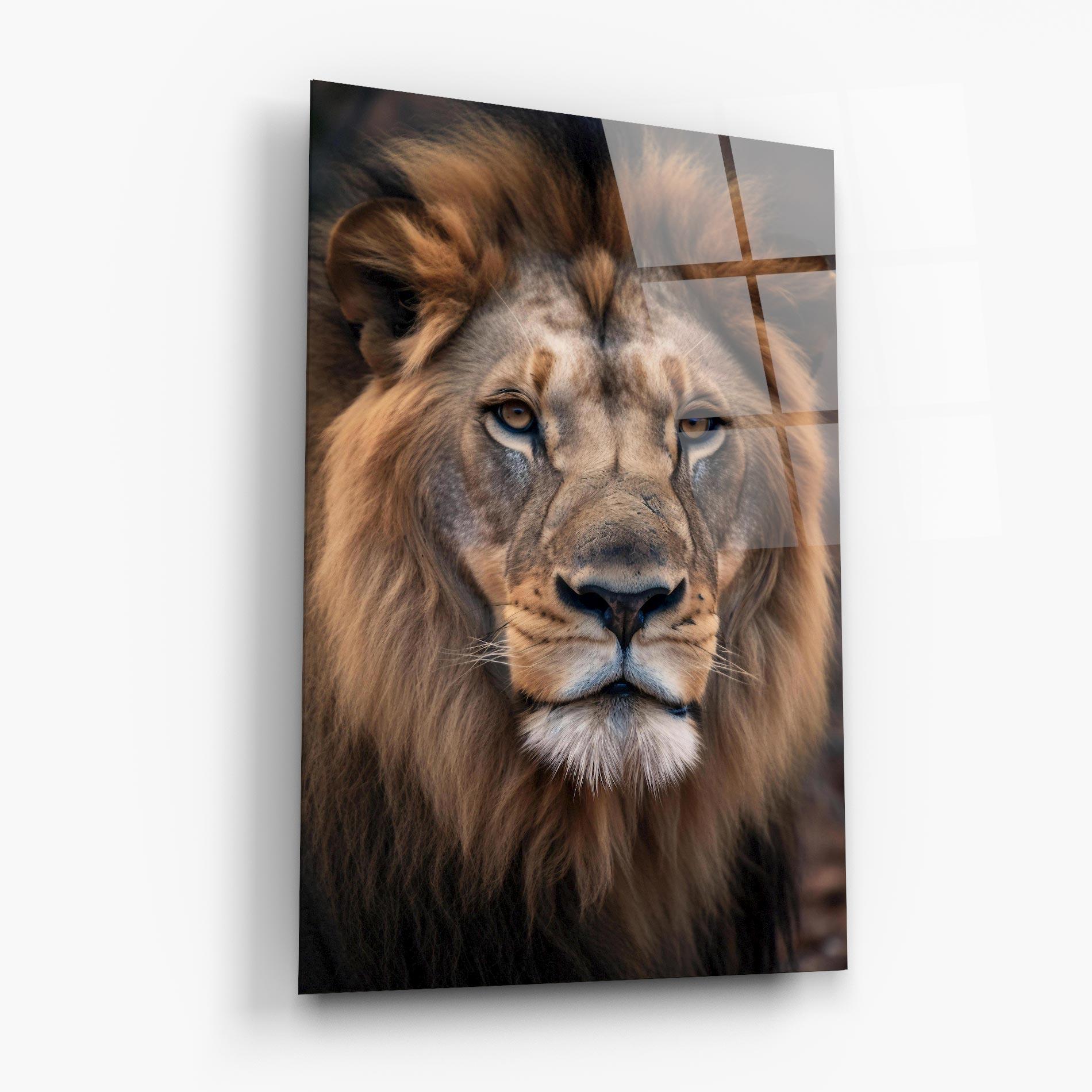 Üvegkép Wild Lion View mockup 6