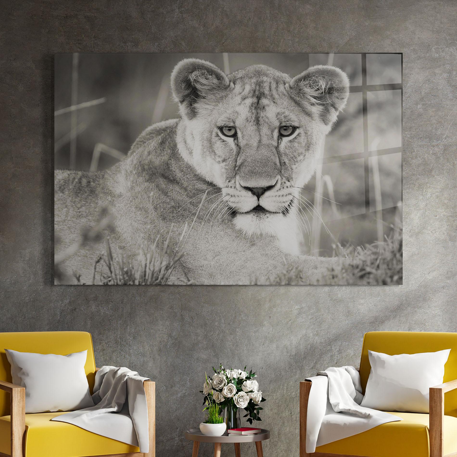 Üvegkép Grey Female Lion Looking mockup 4