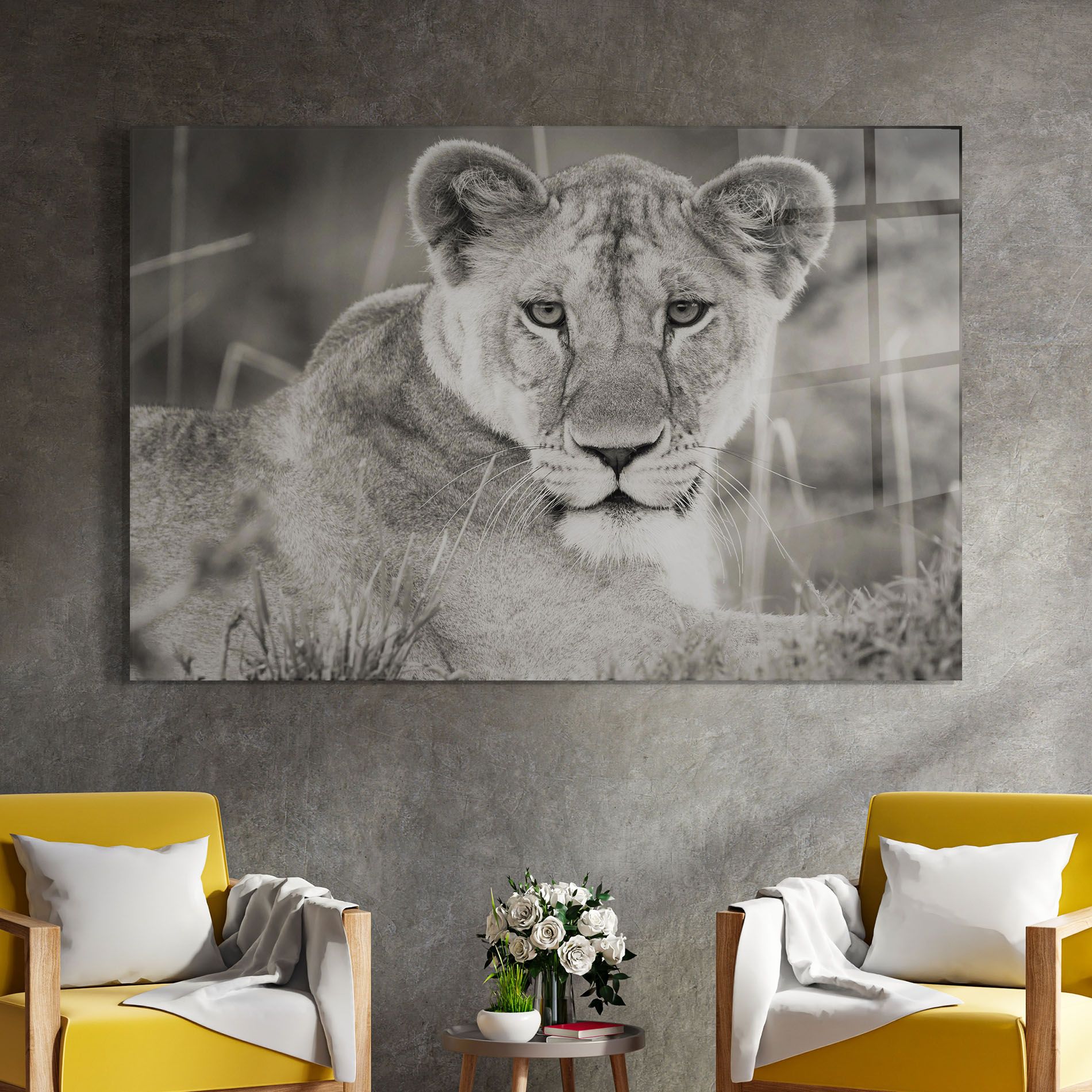 Grey Female Lion Looking mockup 4