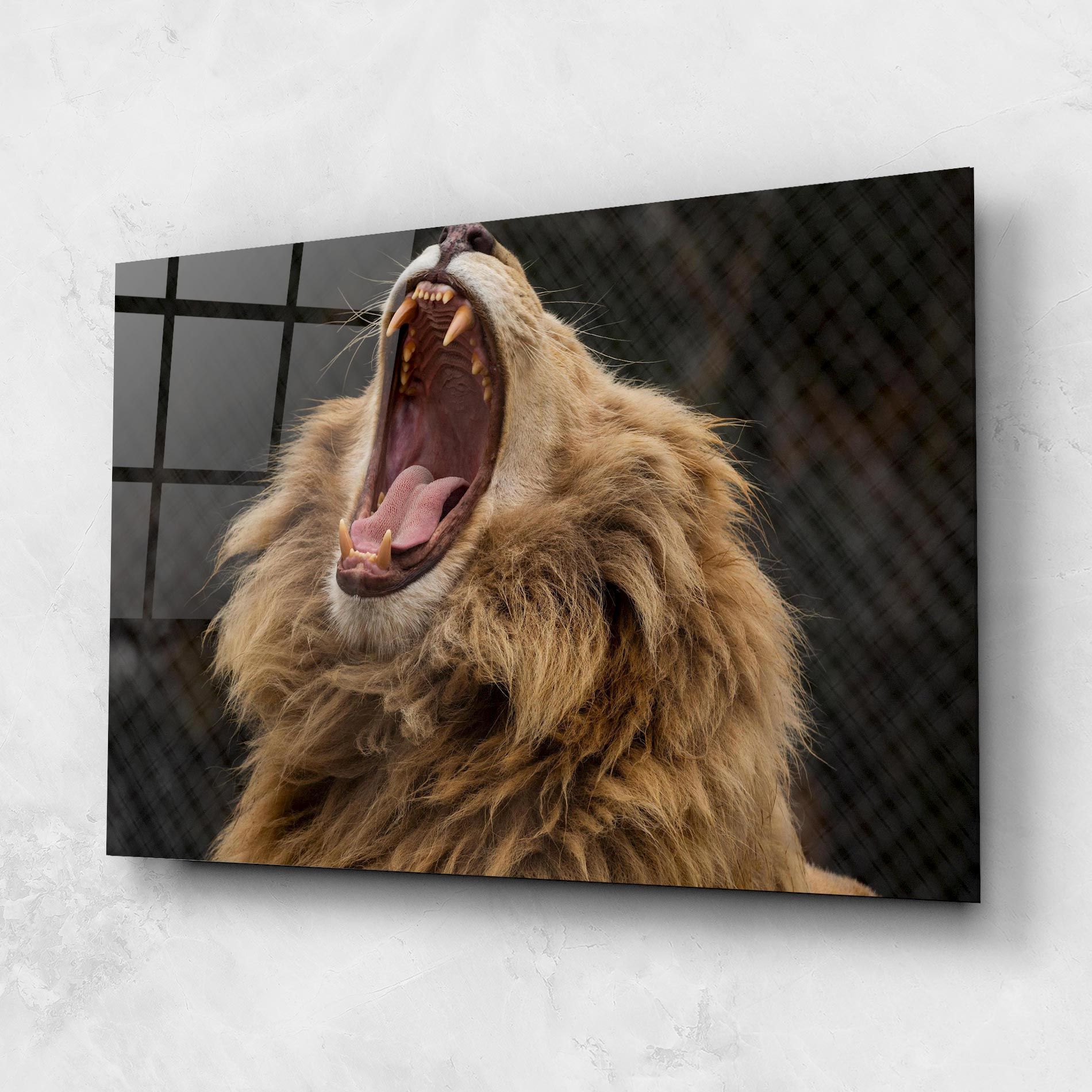 Angry Lion mockup 1