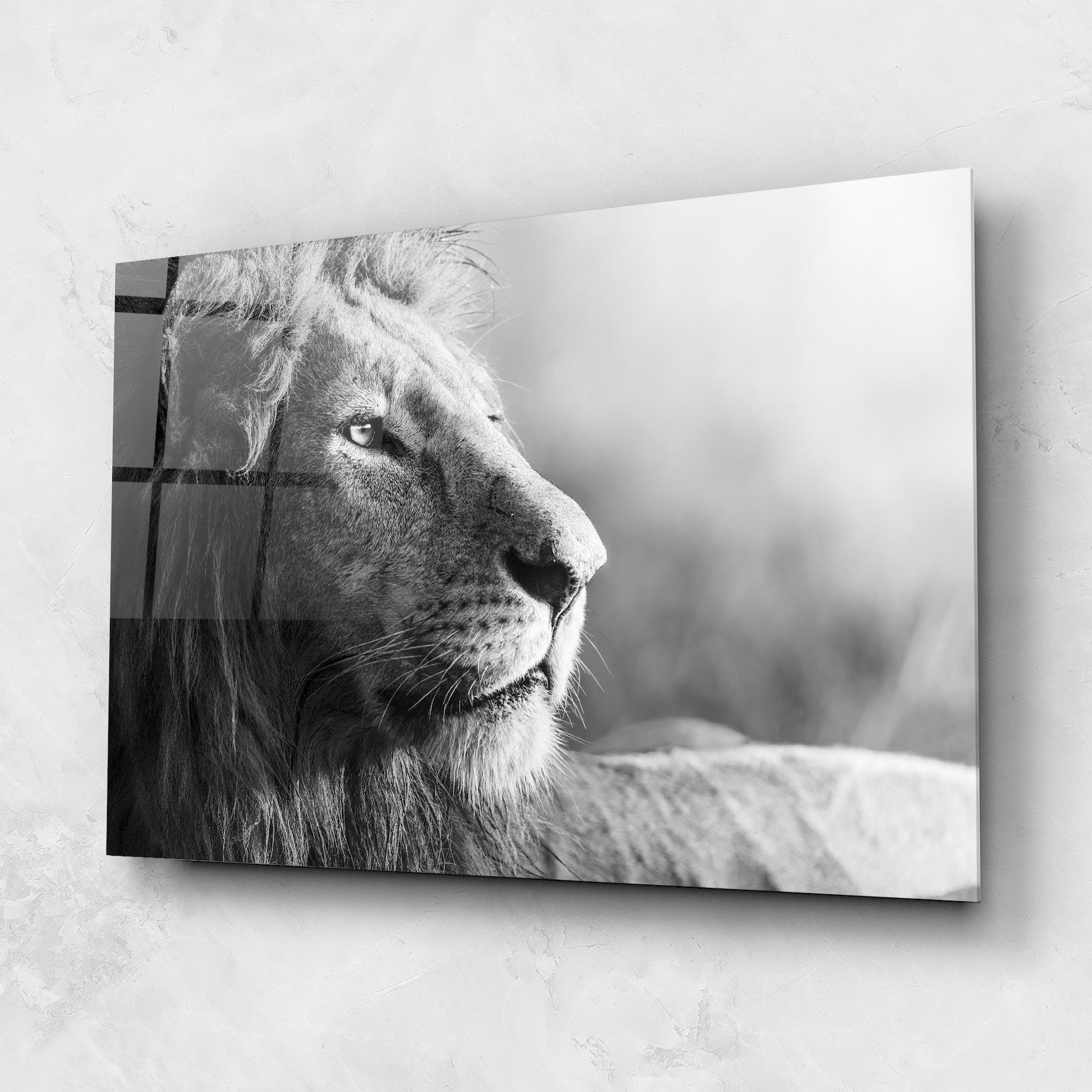 Üvegkép Grey Lion Head mockup 1