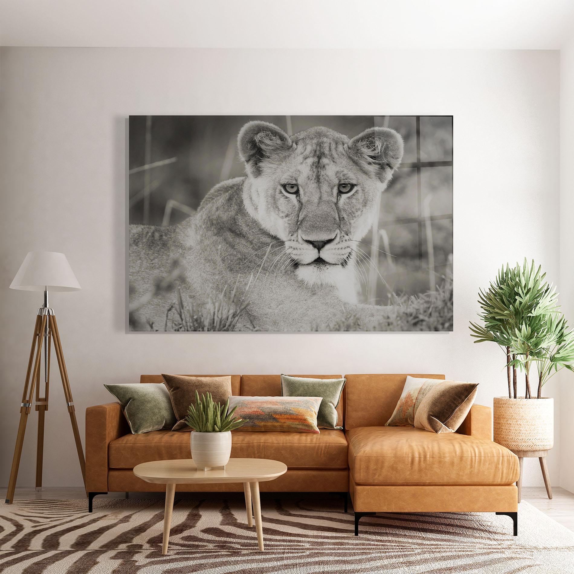 Üvegkép Grey Female Lion Looking mockup 7