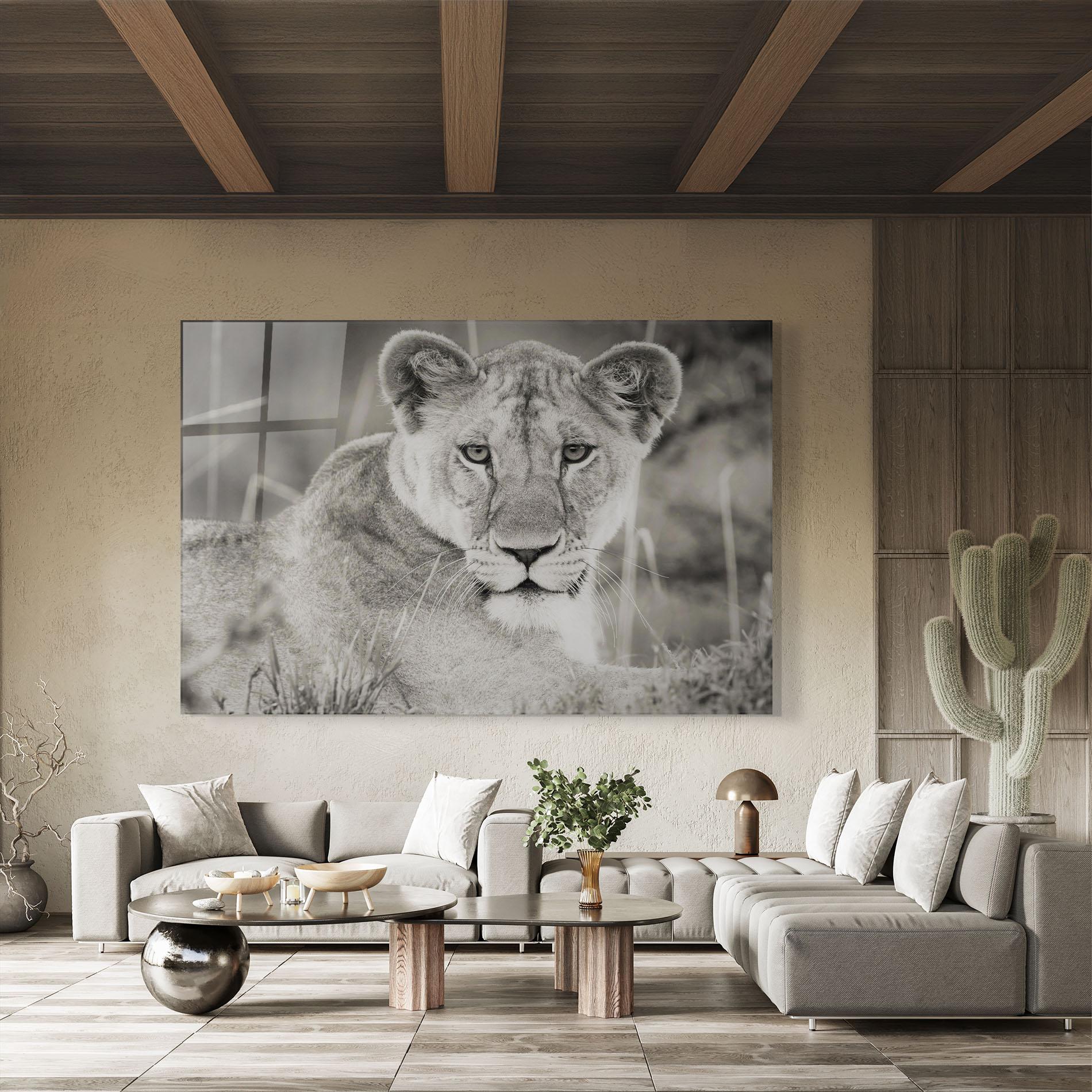 Üvegkép Grey Female Lion Looking mockup 8
