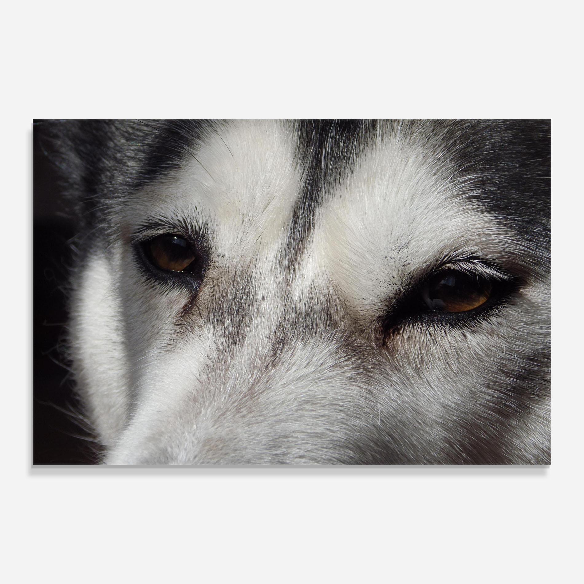 Üvegkép Close Up Wolf mockup 0