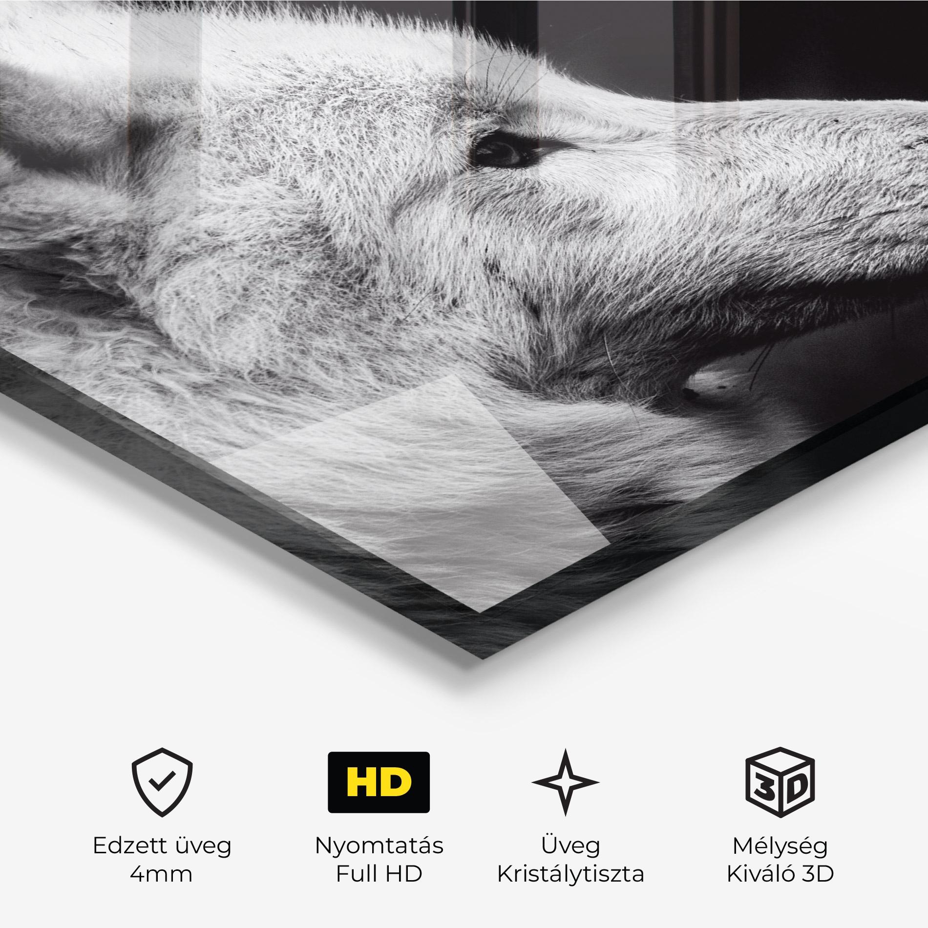 Üvegkép Grey Wolf mockup 3