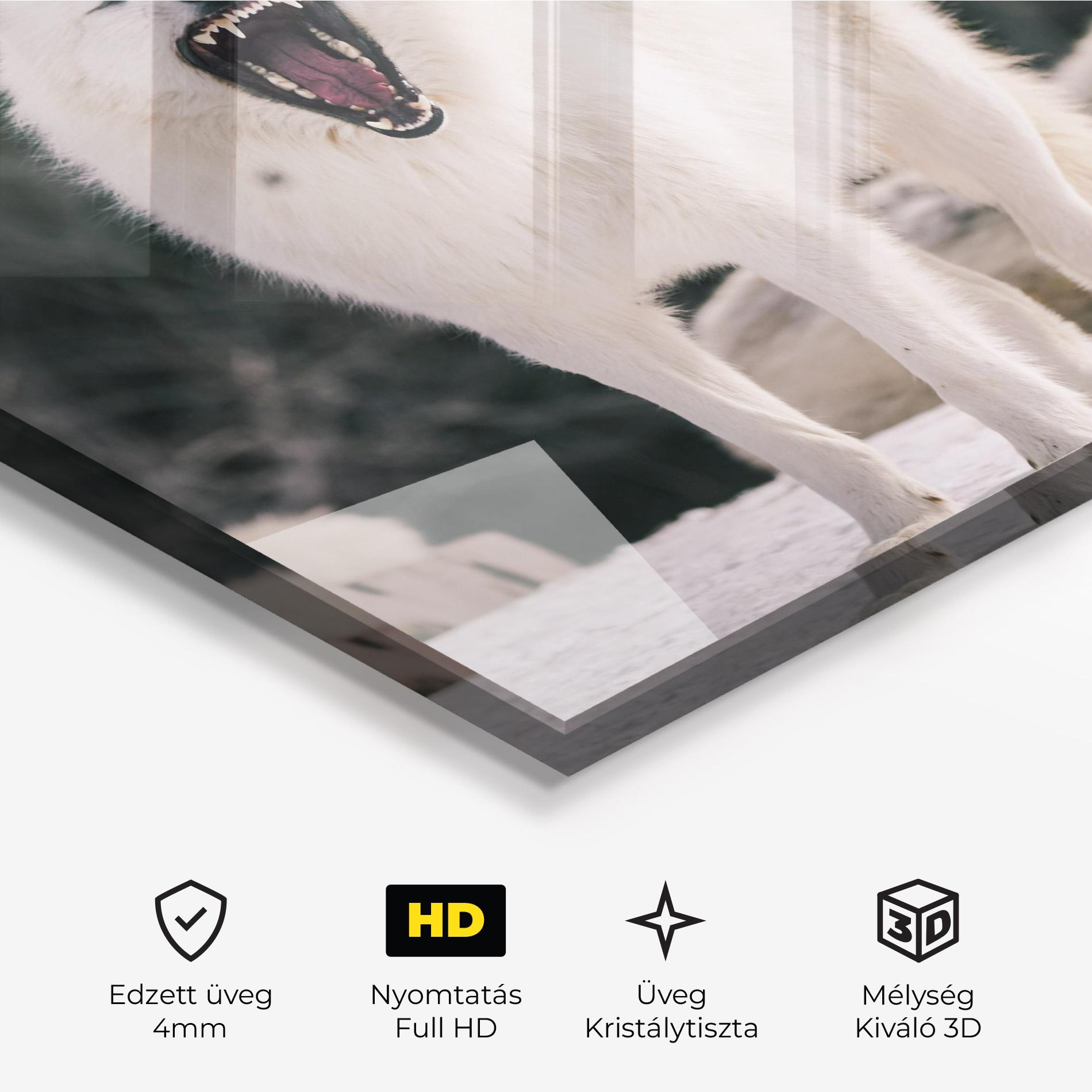 Üvegkép Laughing White Wolf mockup 3