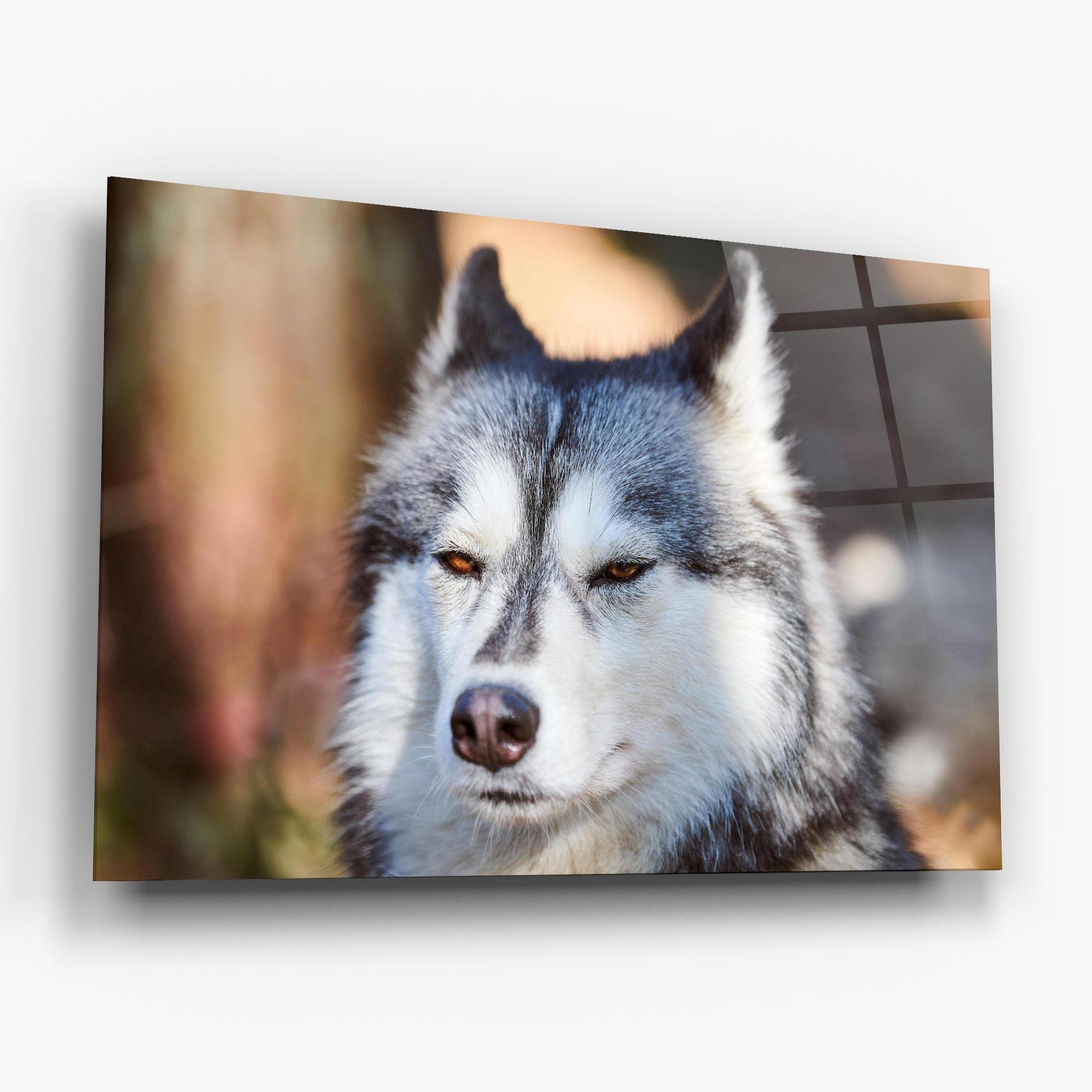 Üvegkép Annoyed Wolf mockup 6