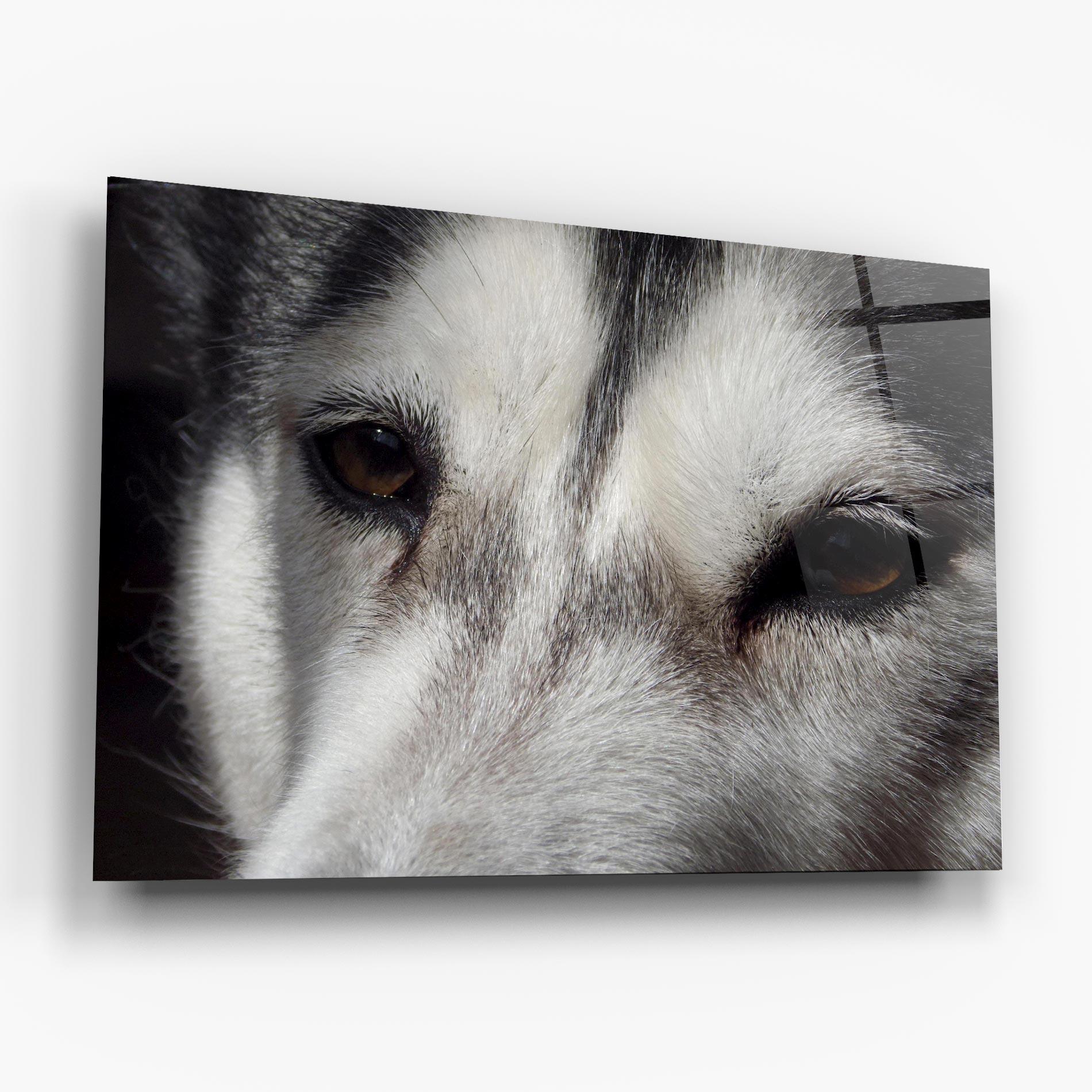 Üvegkép Close Up Wolf mockup 6