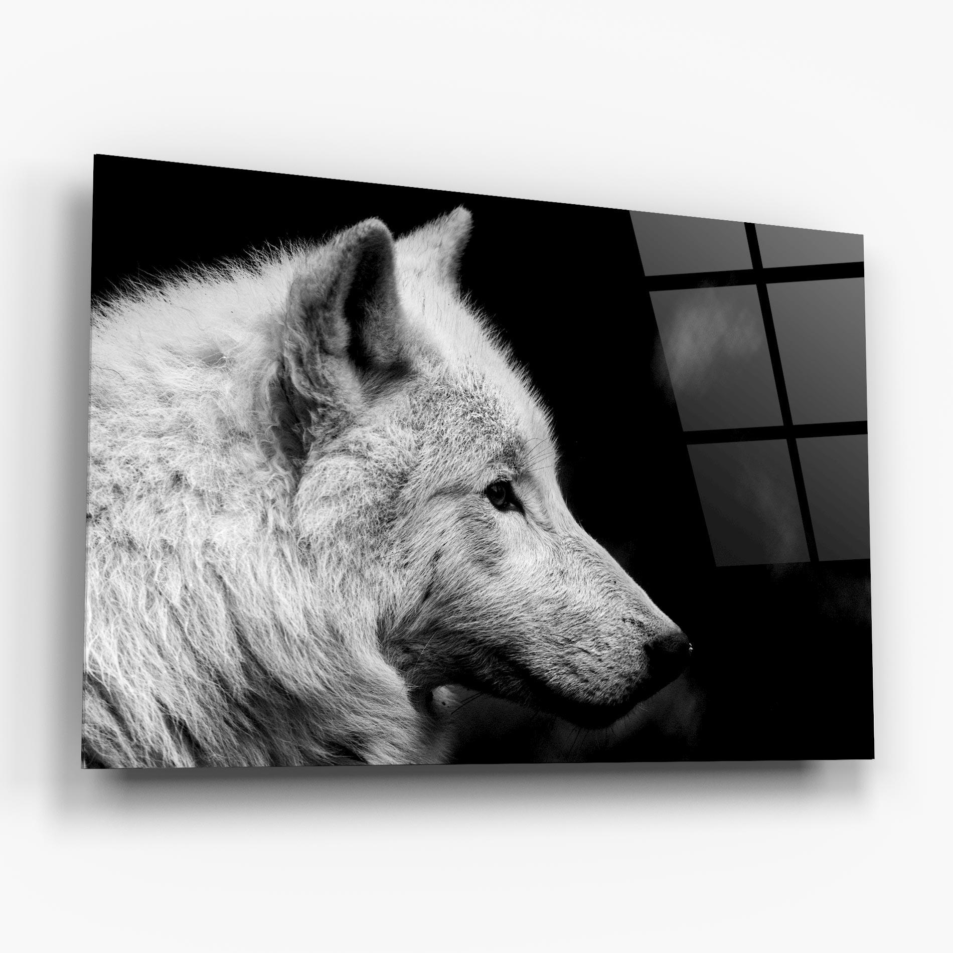 Üvegkép Grey Wolf mockup 6