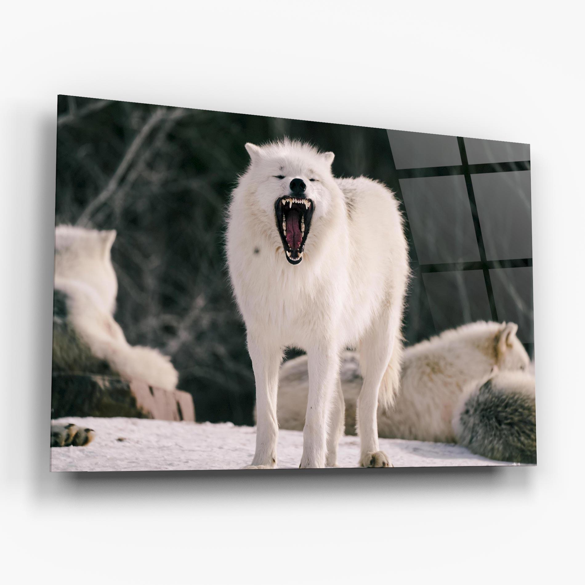 Üvegkép Laughing White Wolf mockup 6