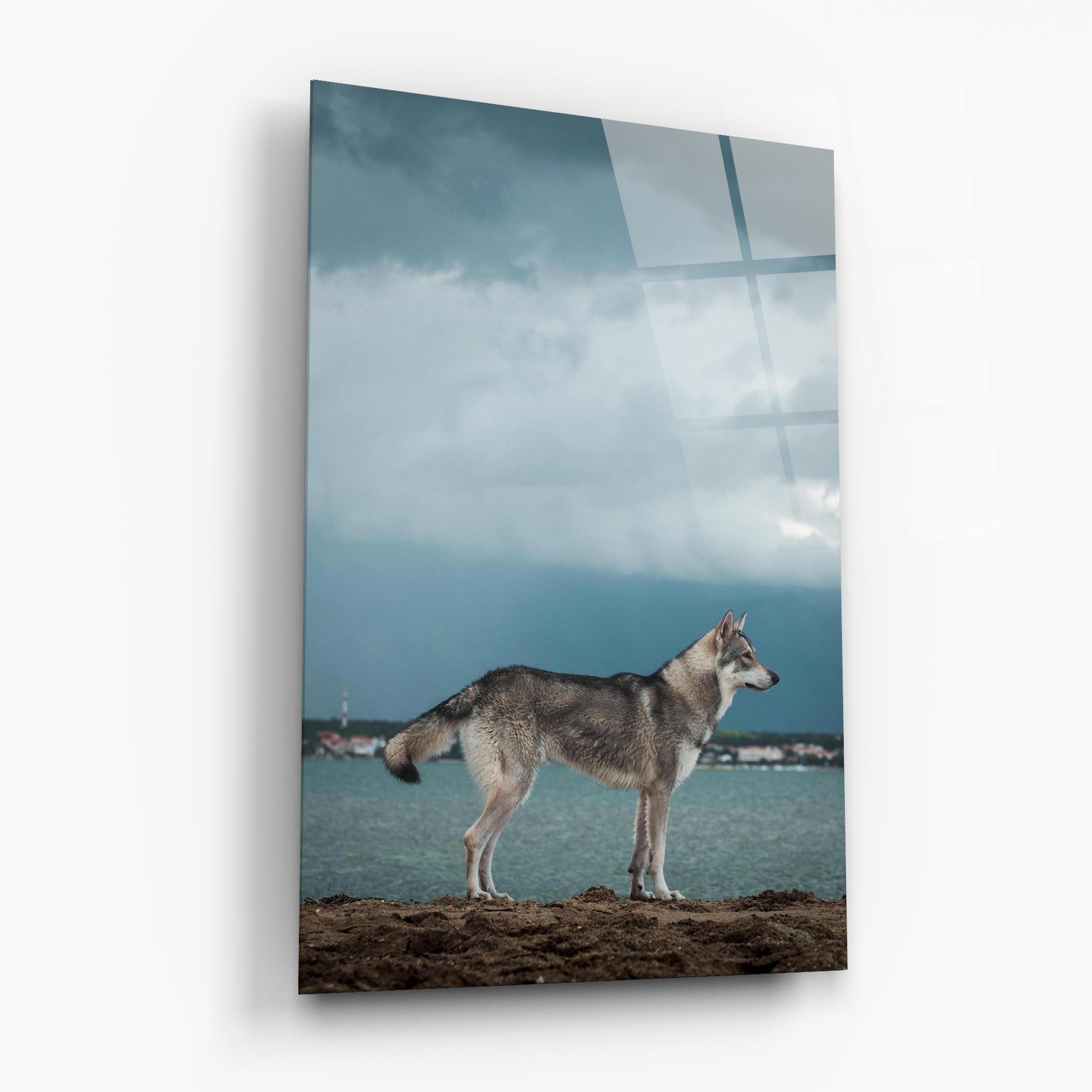 Üvegkép Grey Wolf Looking mockup 6