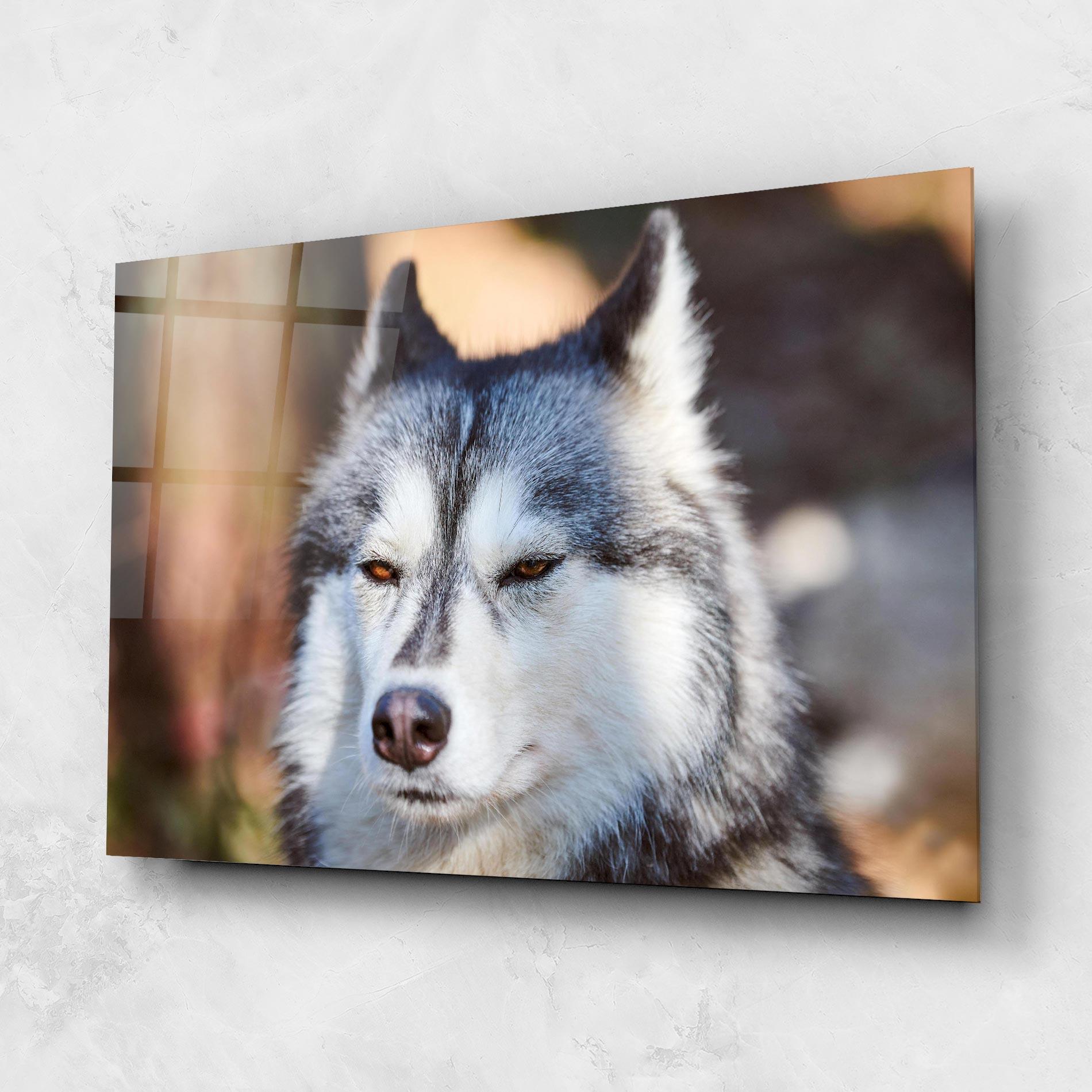 Üvegkép Annoyed Wolf mockup 1
