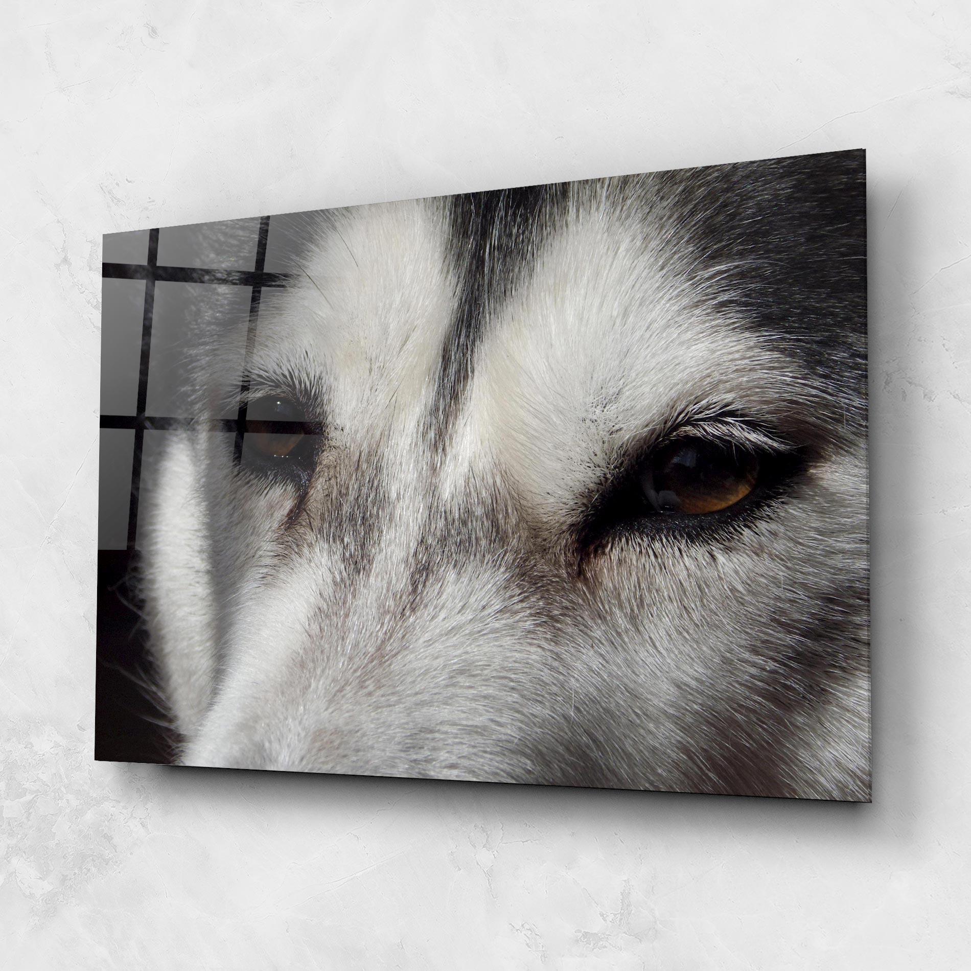 Üvegkép Close Up Wolf mockup 1