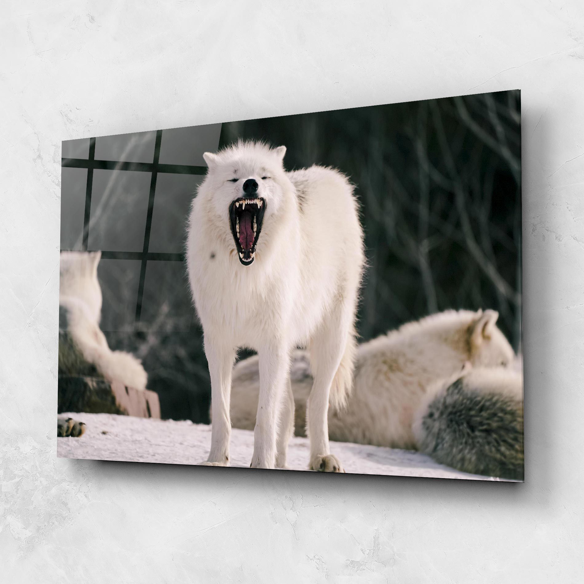 Laughing White Wolf mockup 1