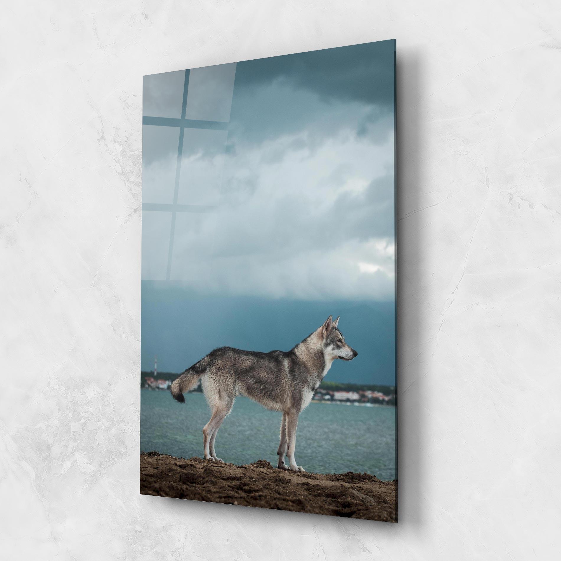 Üvegkép Grey Wolf Looking mockup 1