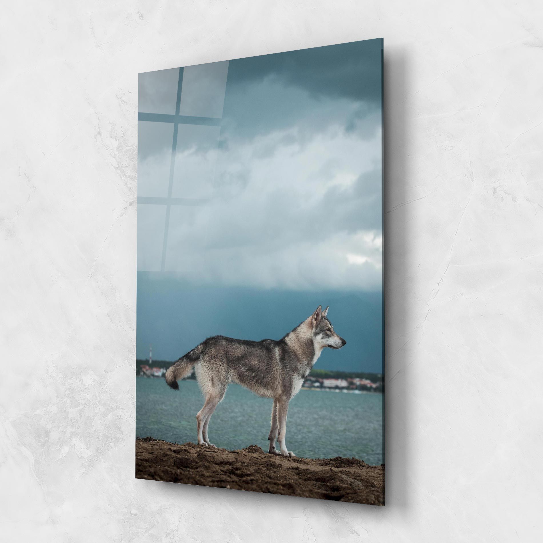 Grey Wolf Looking mockup 1