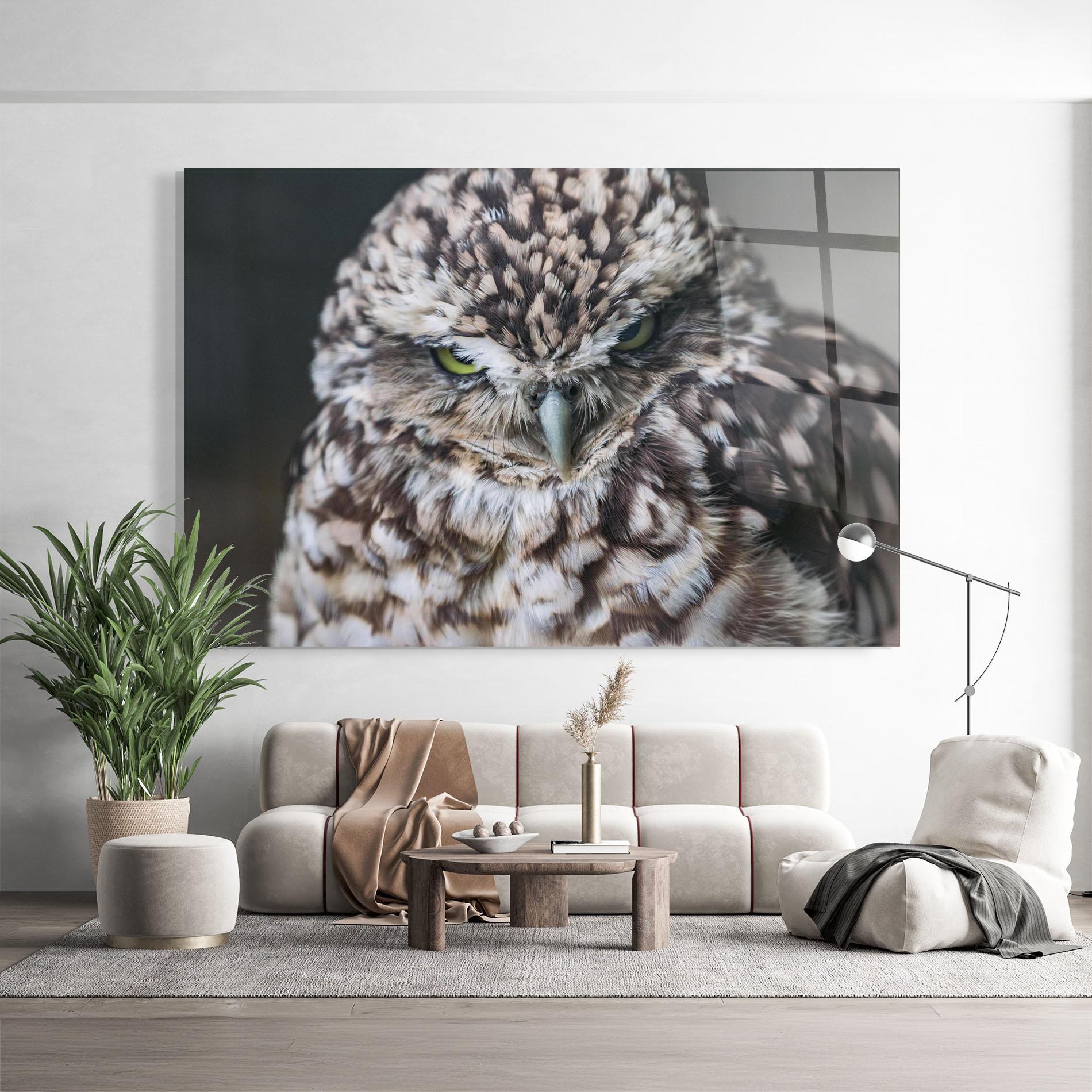 Üvegkép Angry Little Owl mockup 9