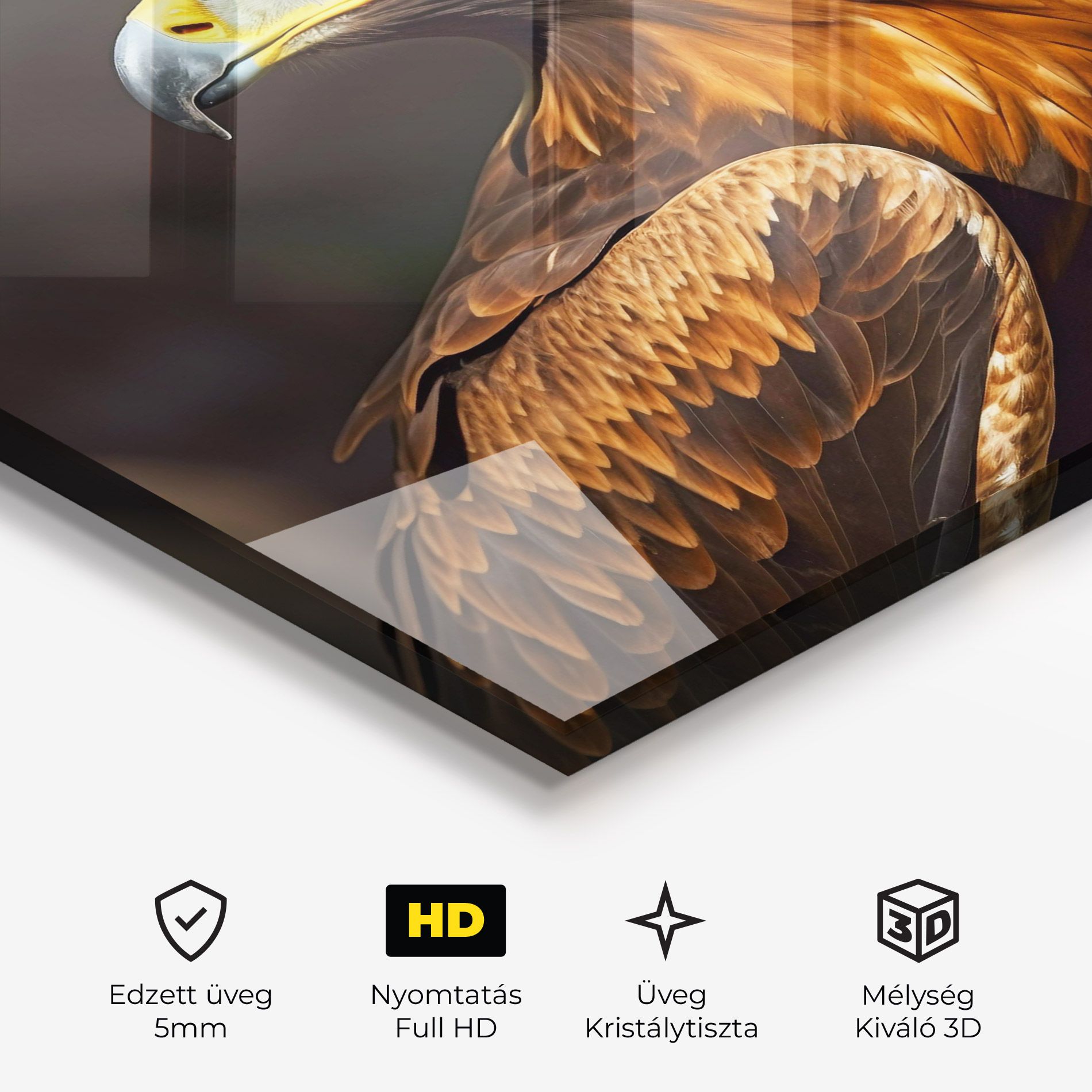 Brown Eagle mockup 3