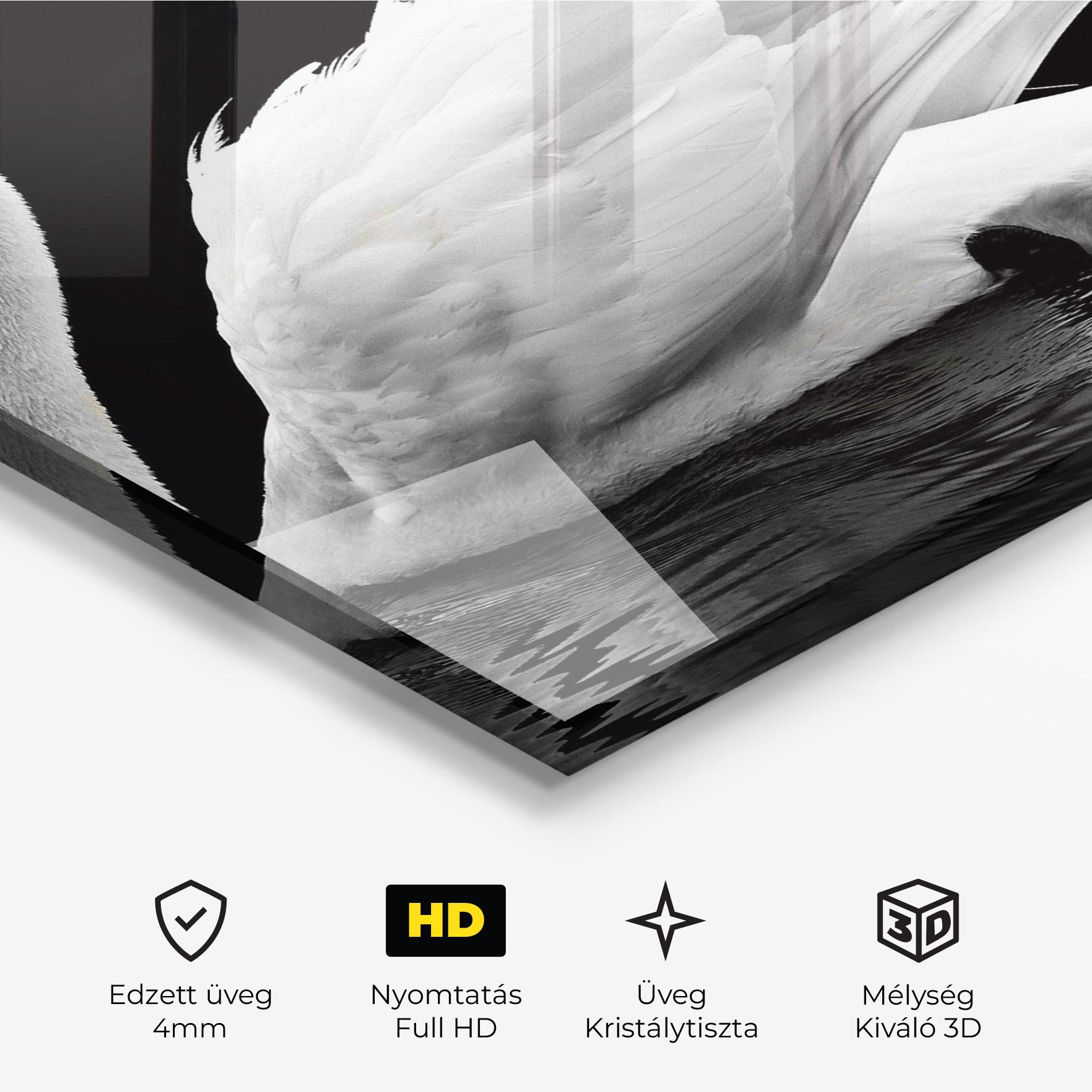 Üvegkép Black And White Swan mockup 3