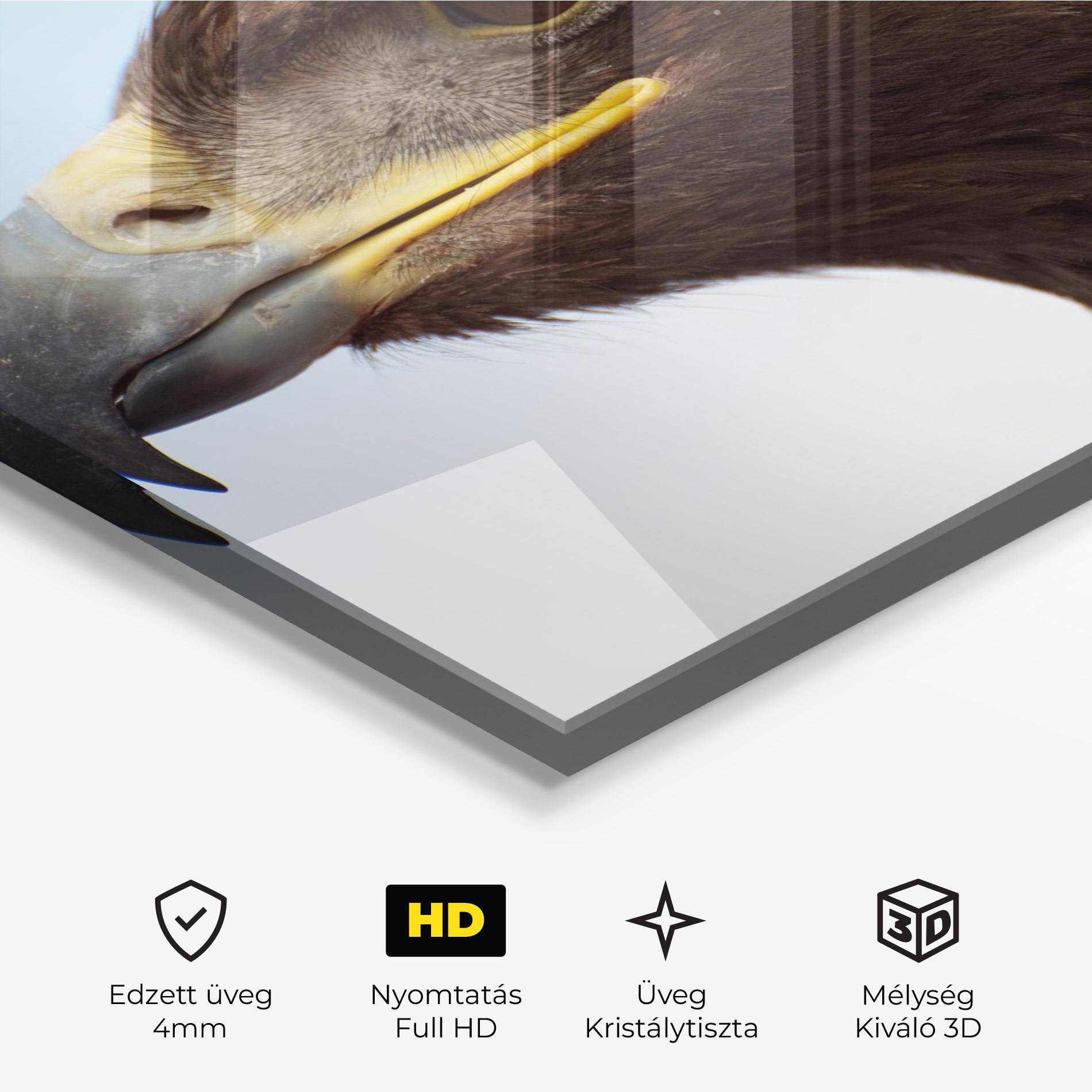 Üvegkép Brown Head Eagle mockup 3