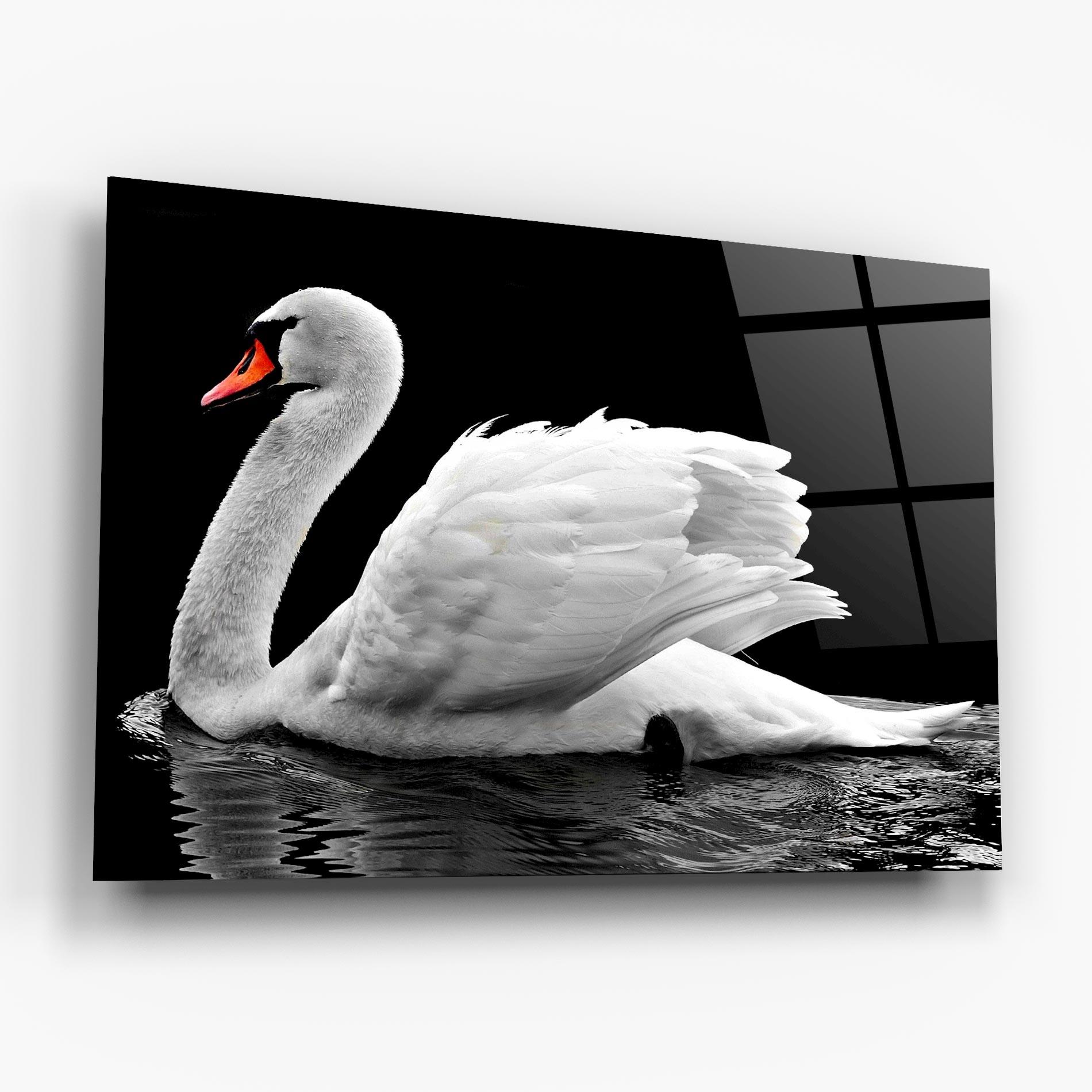 Üvegkép Black And White Swan mockup 6