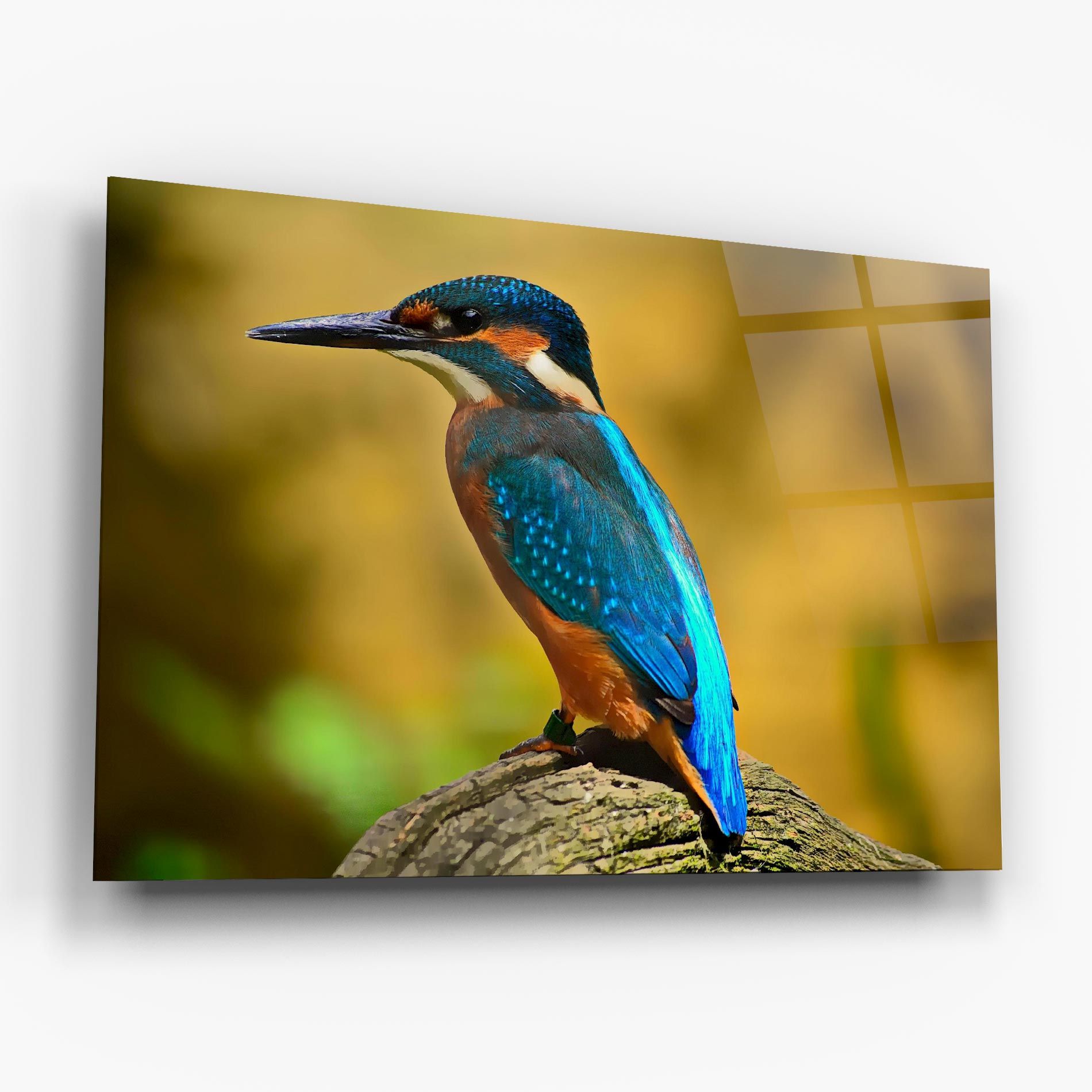 Cute Blue Bird mockup 6