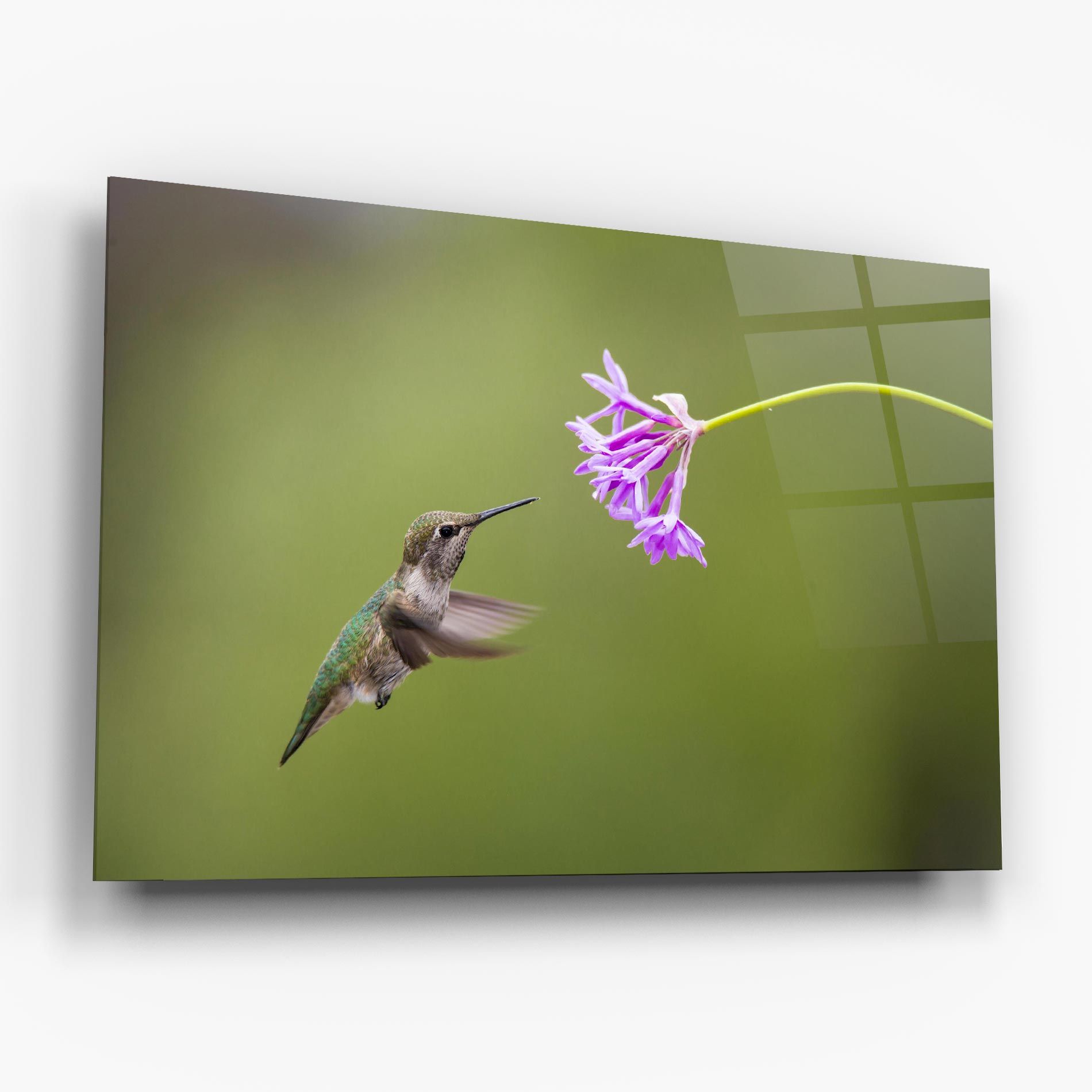 Cute Hummingbird mockup 6