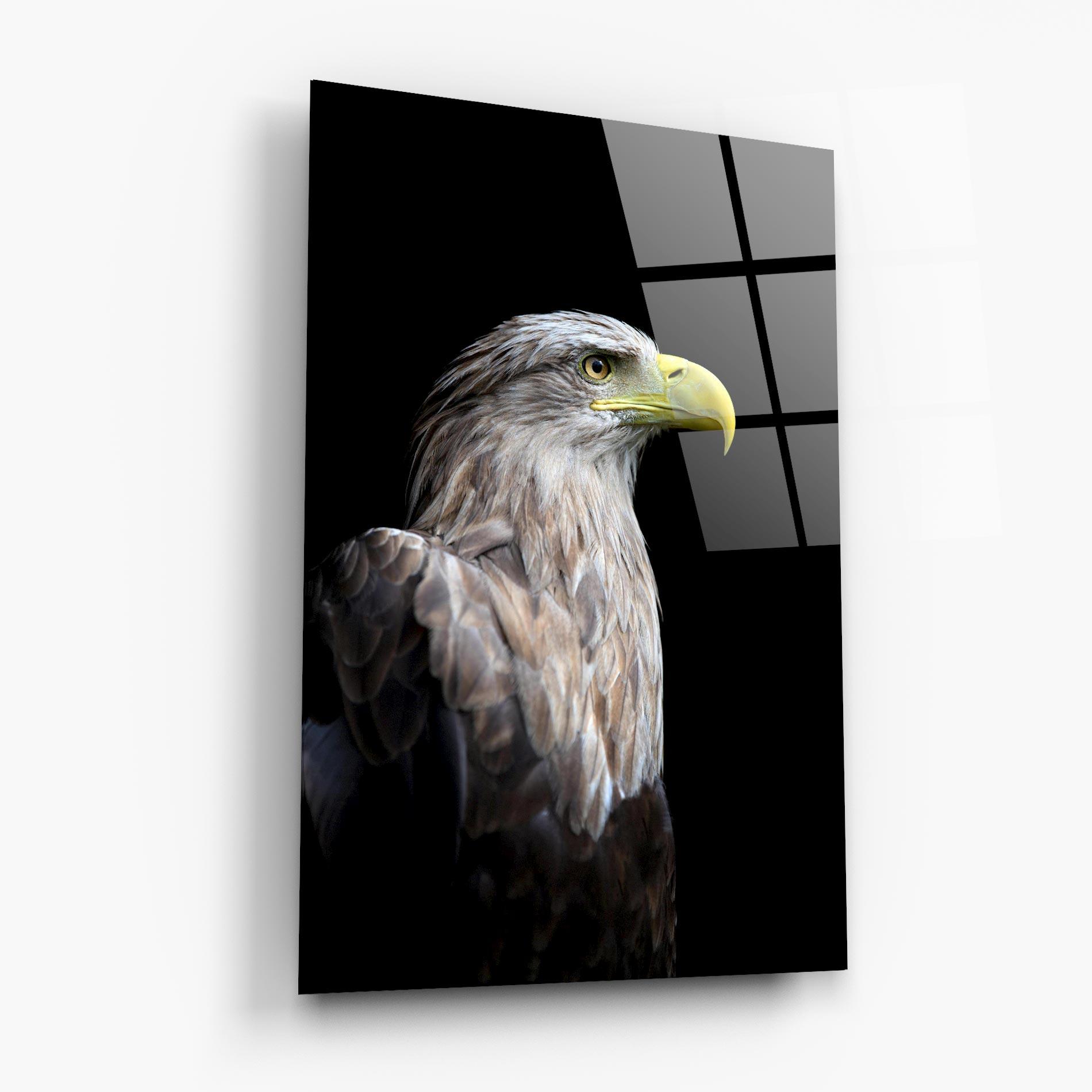Üvegkép Close Up Eagle mockup 6