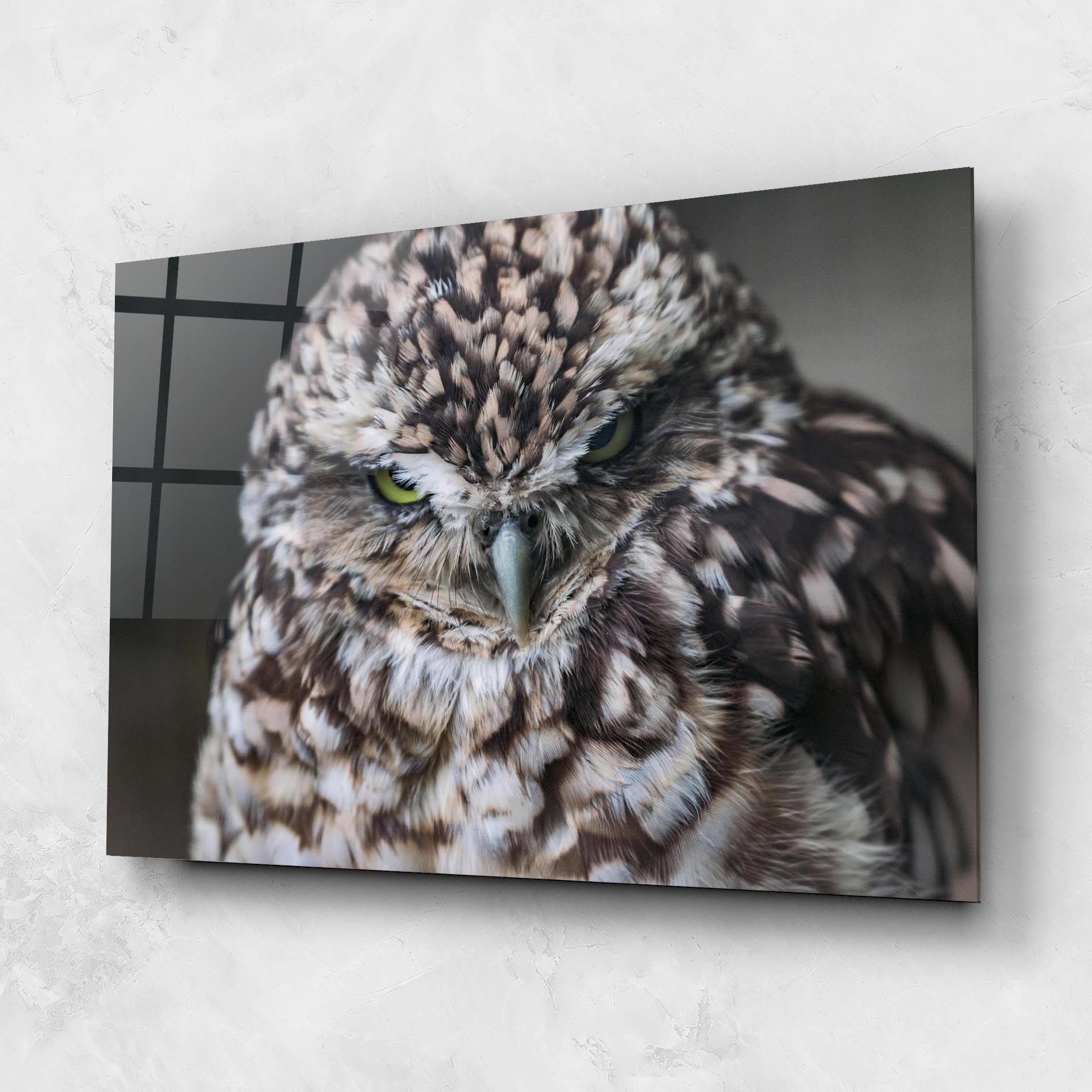 Üvegkép Angry Little Owl mockup 1
