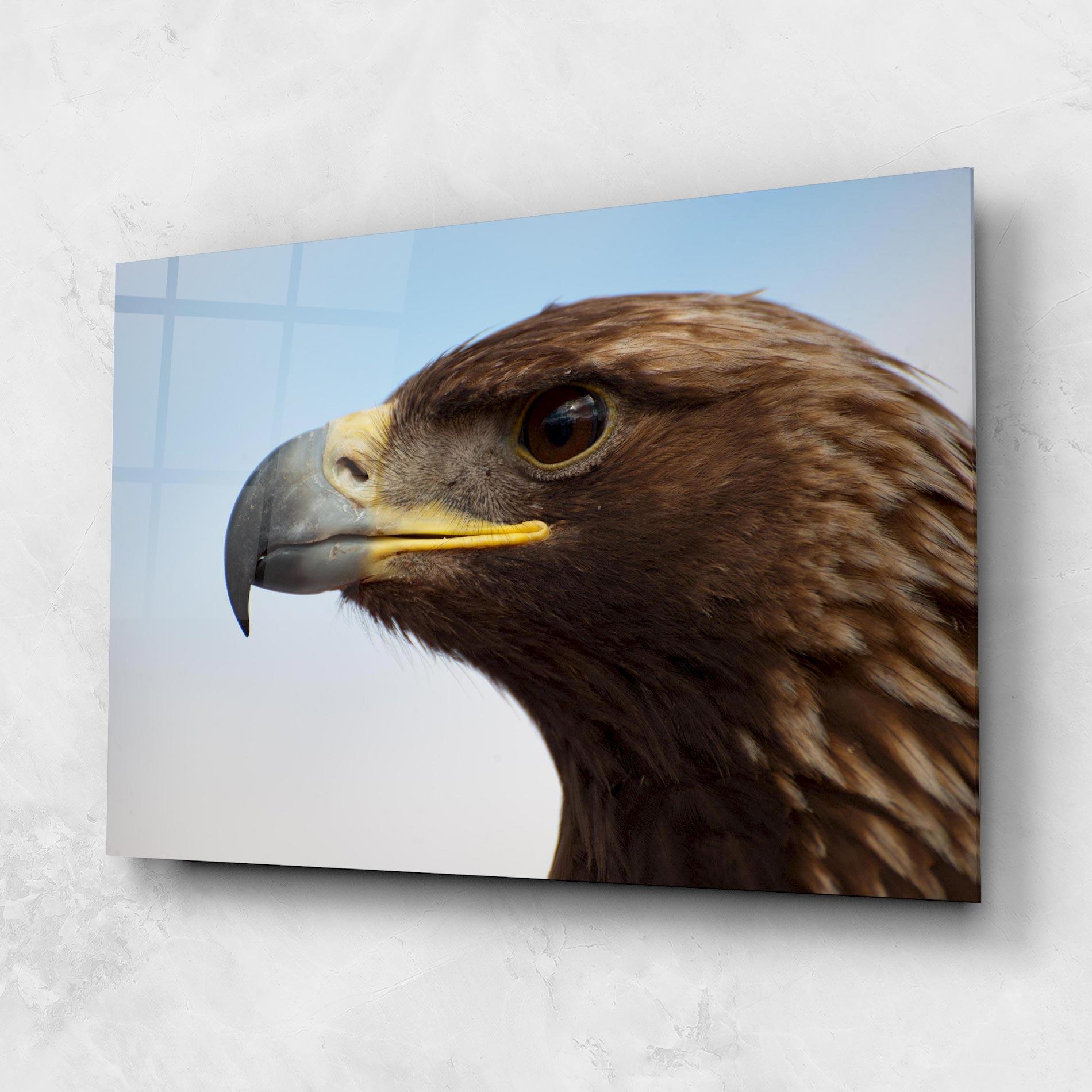 Üvegkép Brown Head Eagle mockup 1