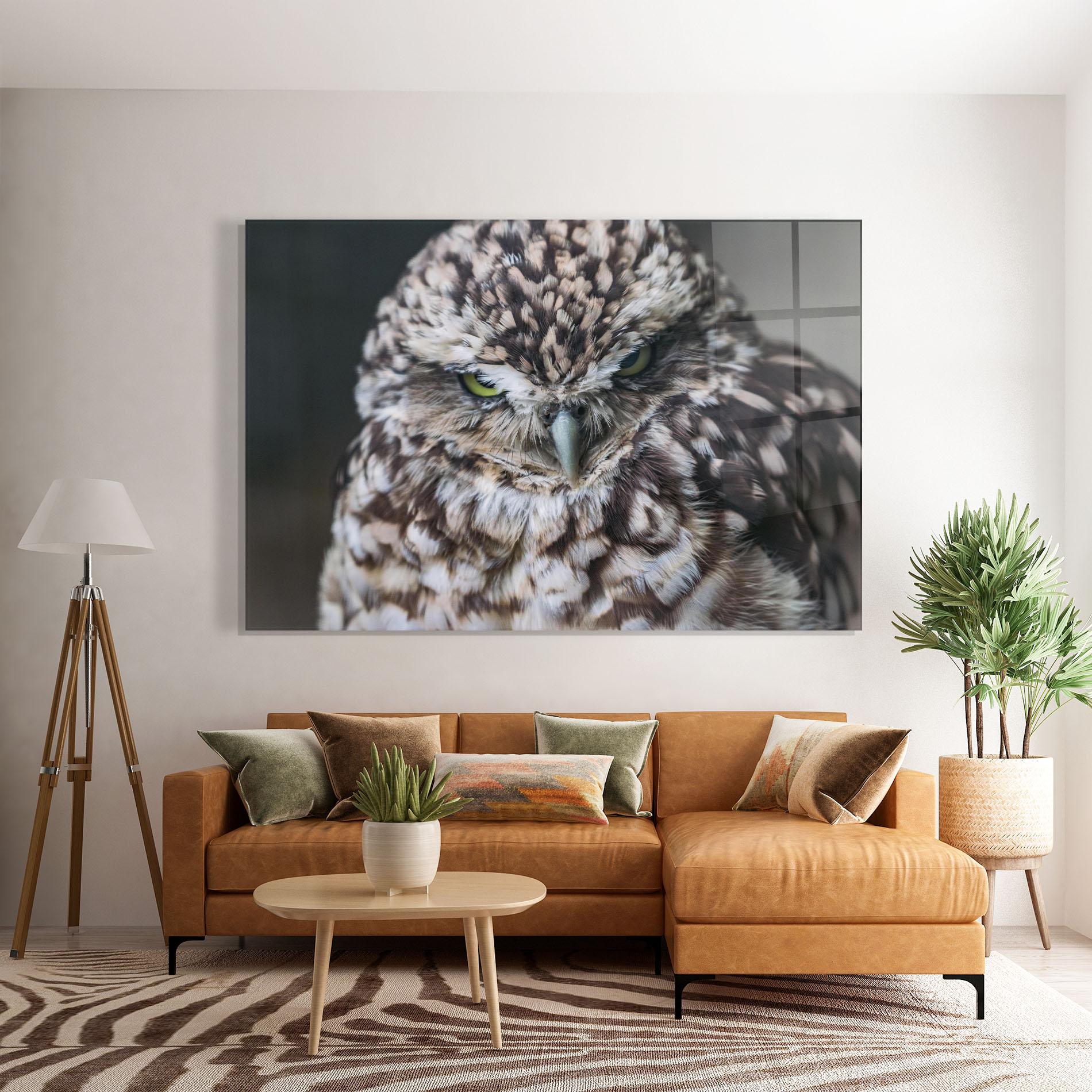 Üvegkép Angry Little Owl mockup 7