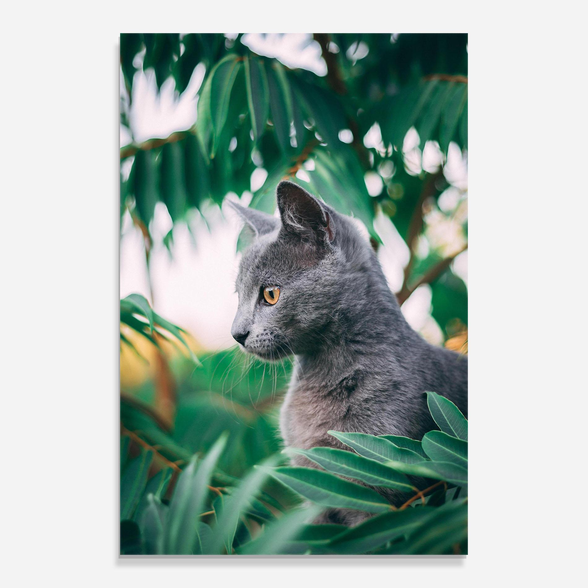 Üvegkép Cat Tree mockup 0