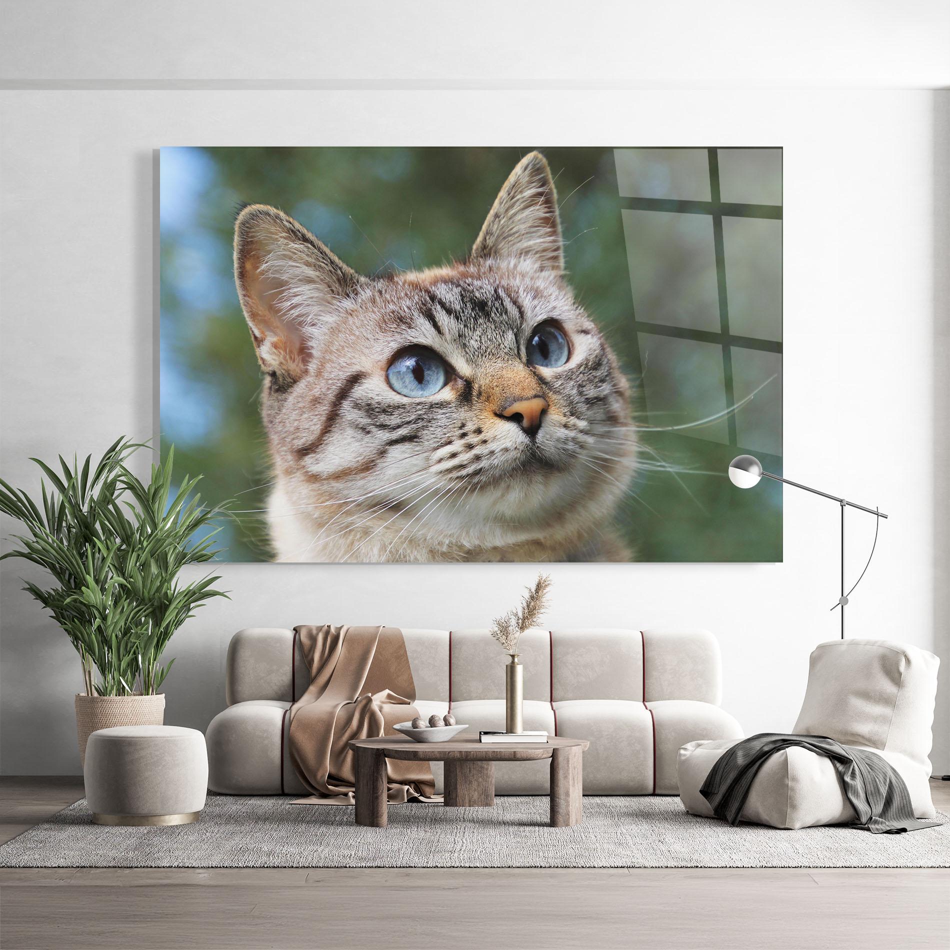 Üvegkép Blue Eyes Cutie mockup 9