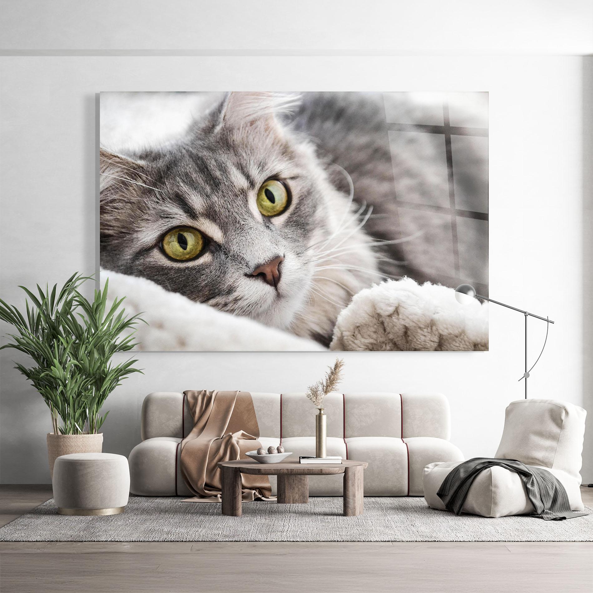 Üvegkép Grey Fluffy Cat mockup 9