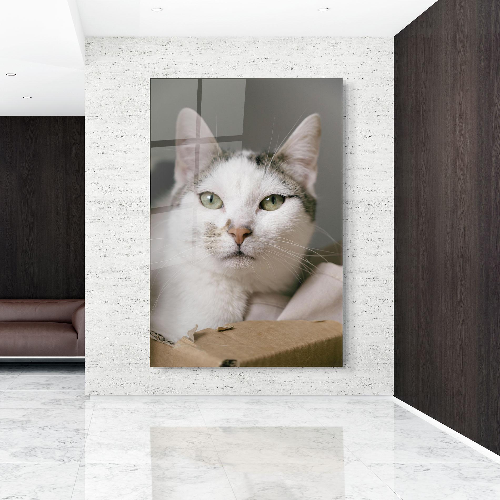 Üvegkép Big Sleepy Cat mockup 9