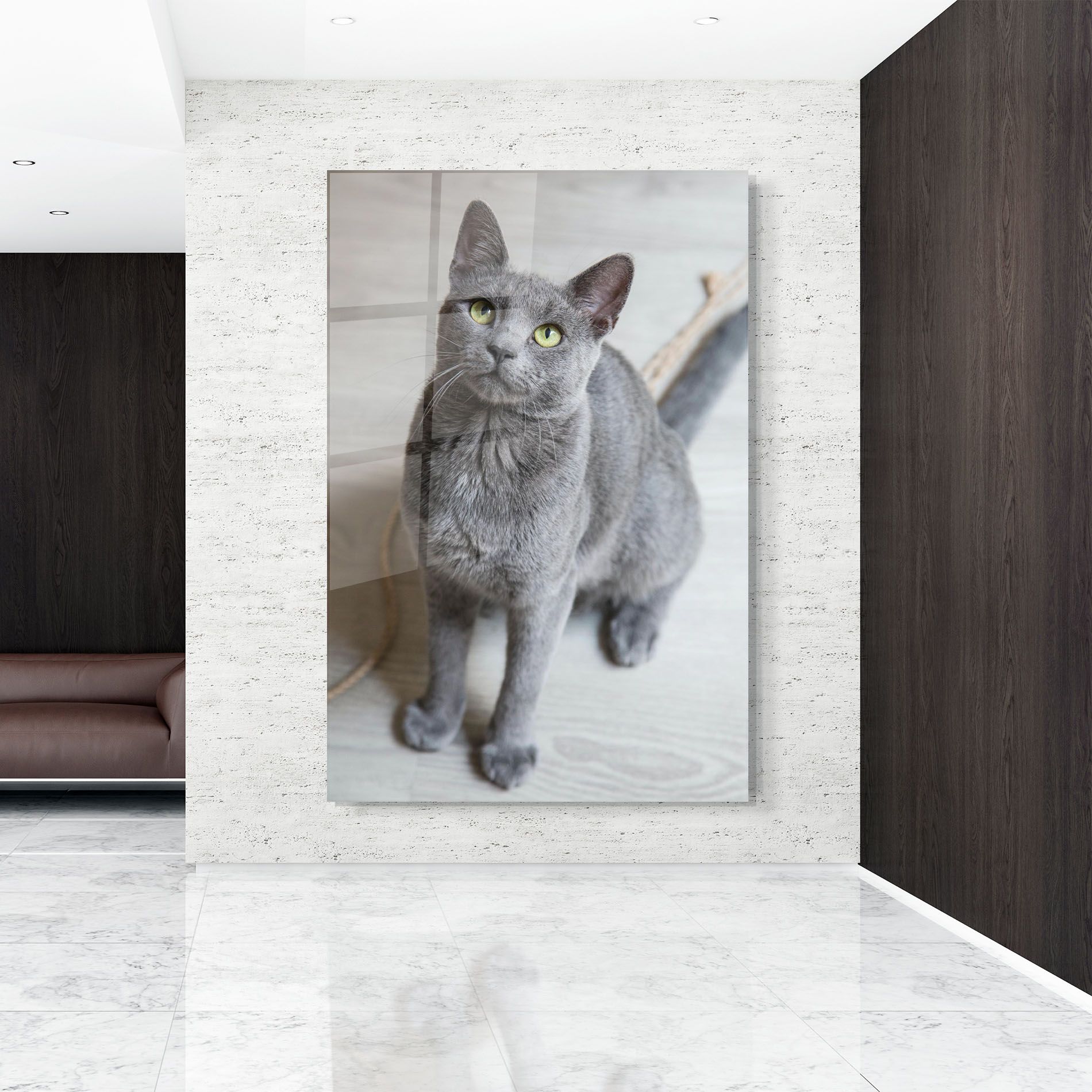 Grey Green Cat Eyes mockup 9