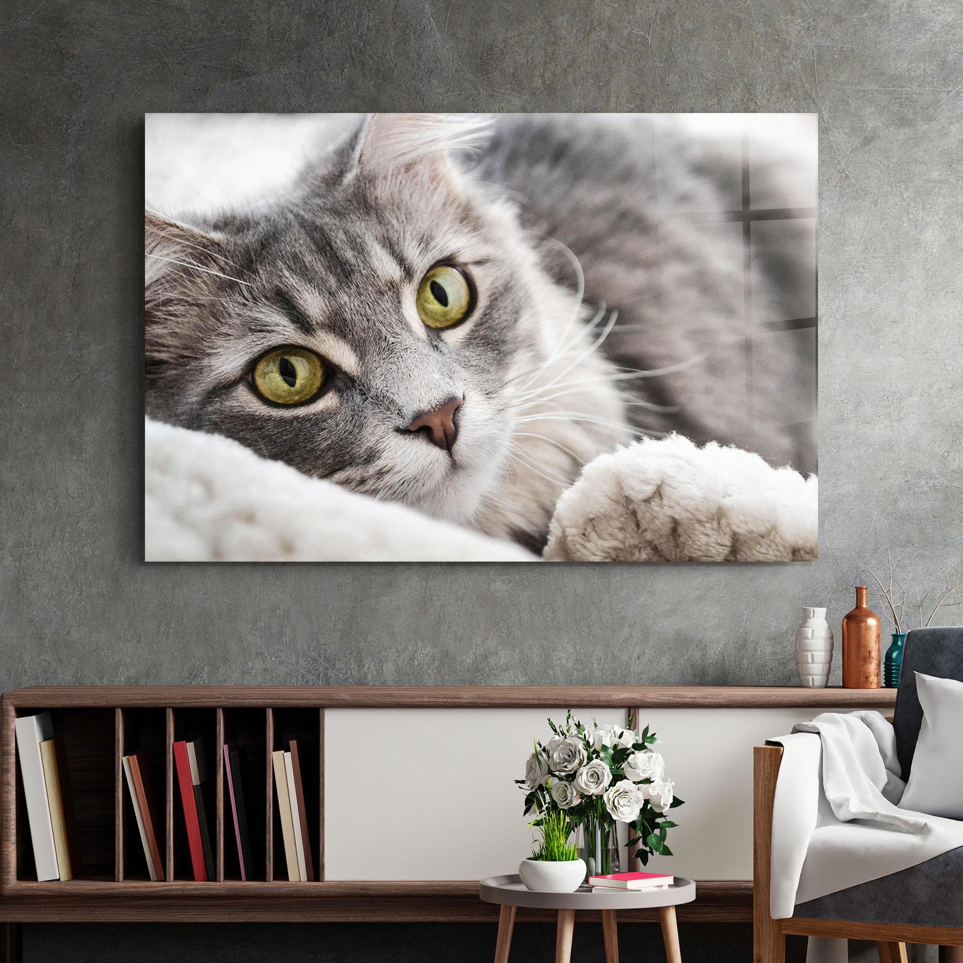 Üvegkép Grey Fluffy Cat mockup 2