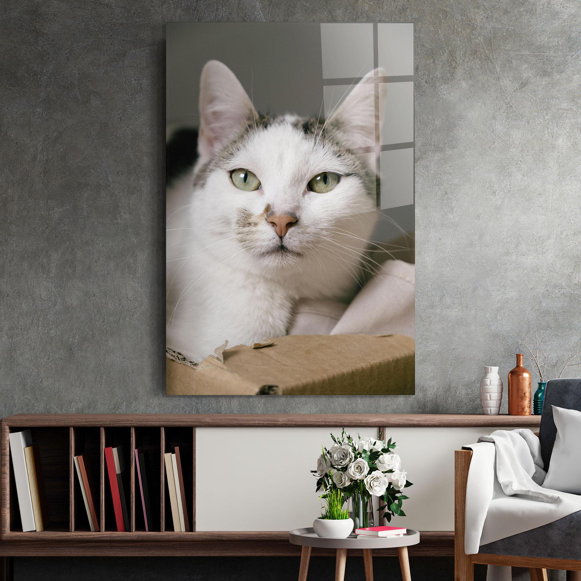 Üvegkép Big Sleepy Cat mockup 2