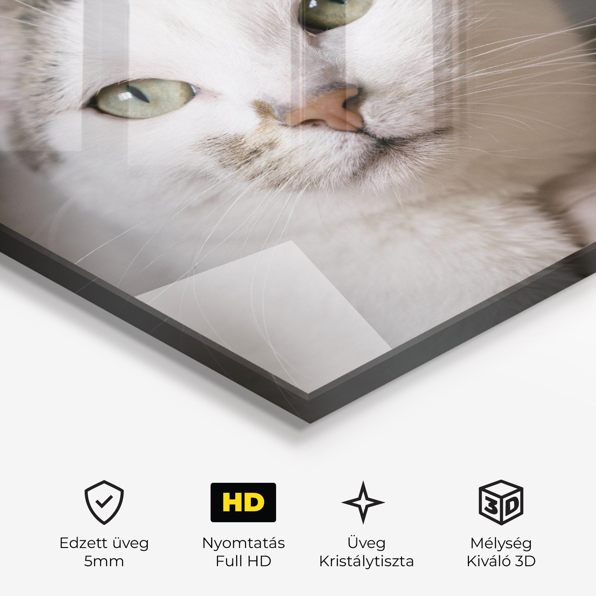 Big Sleepy Cat mockup 3