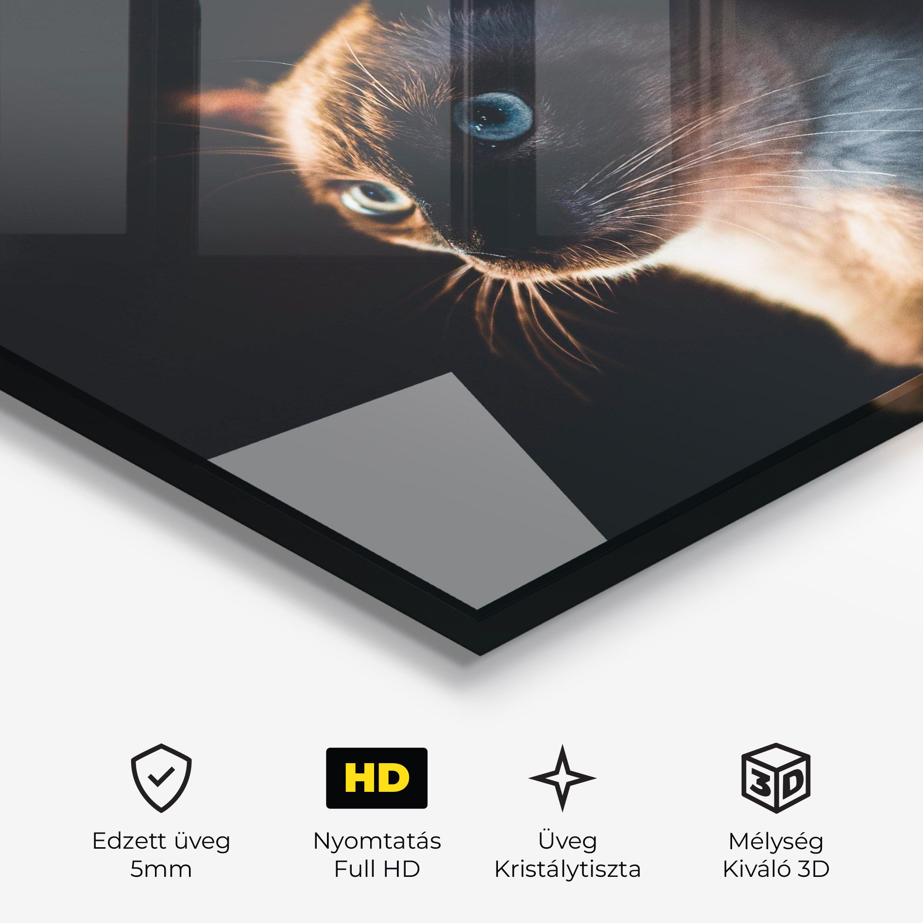 Blue Eyes Cat In Dark mockup 3